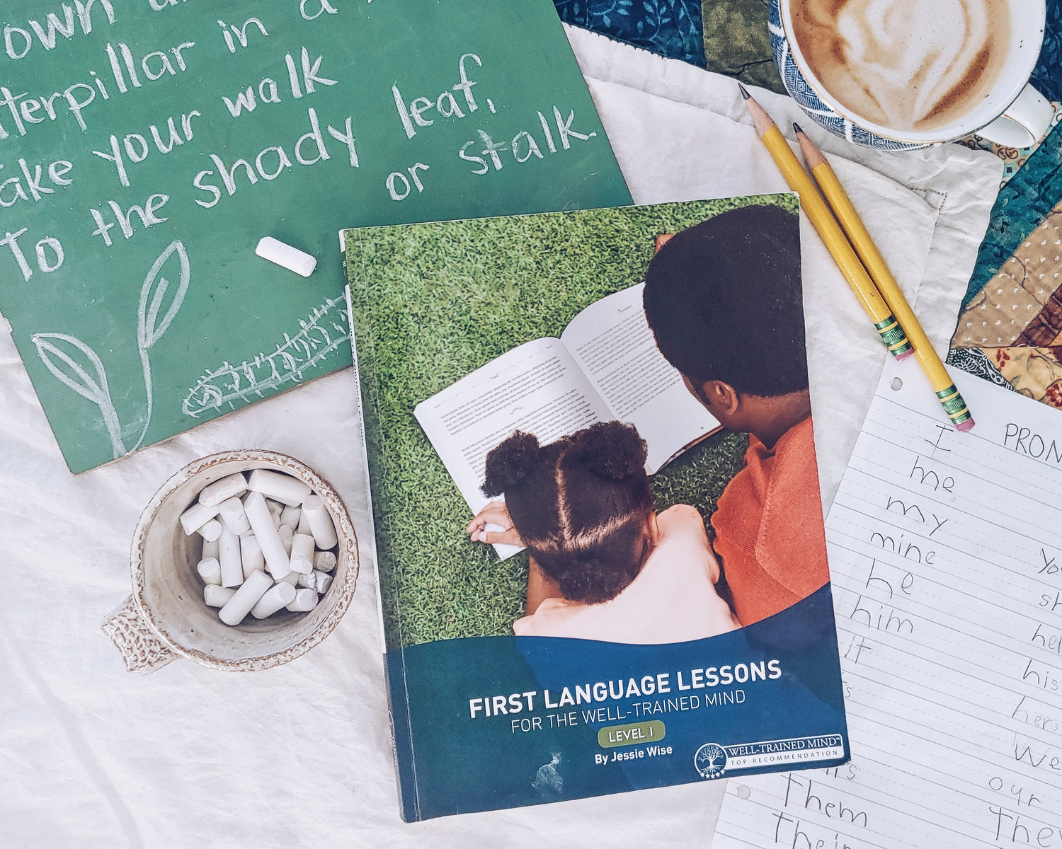 Curriculum Review: First Language Lessons for the Well-Trained Mind Level 1