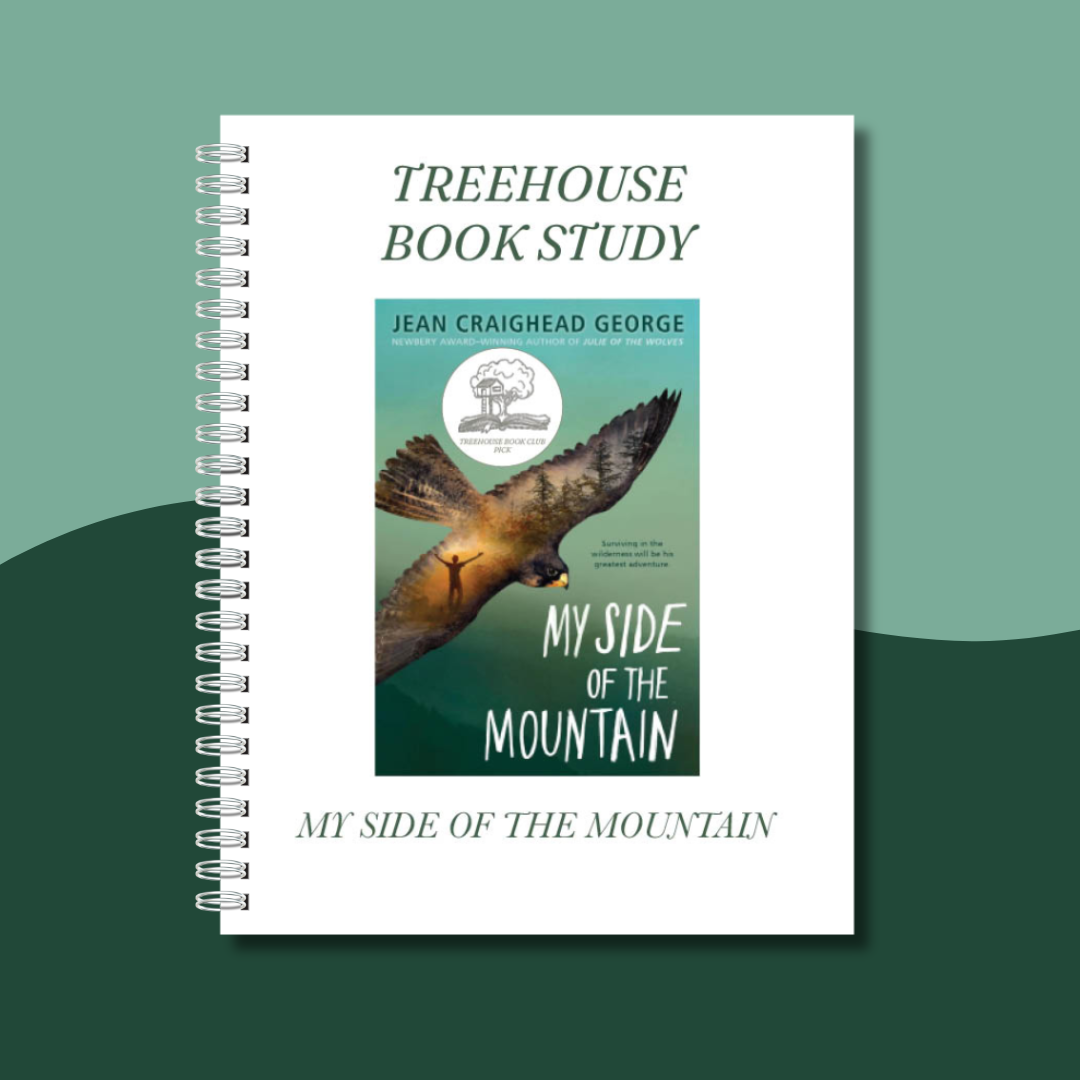 My Side Of The Mountain – Jean Craighead George, Reprint Paperback, Very Good Condition