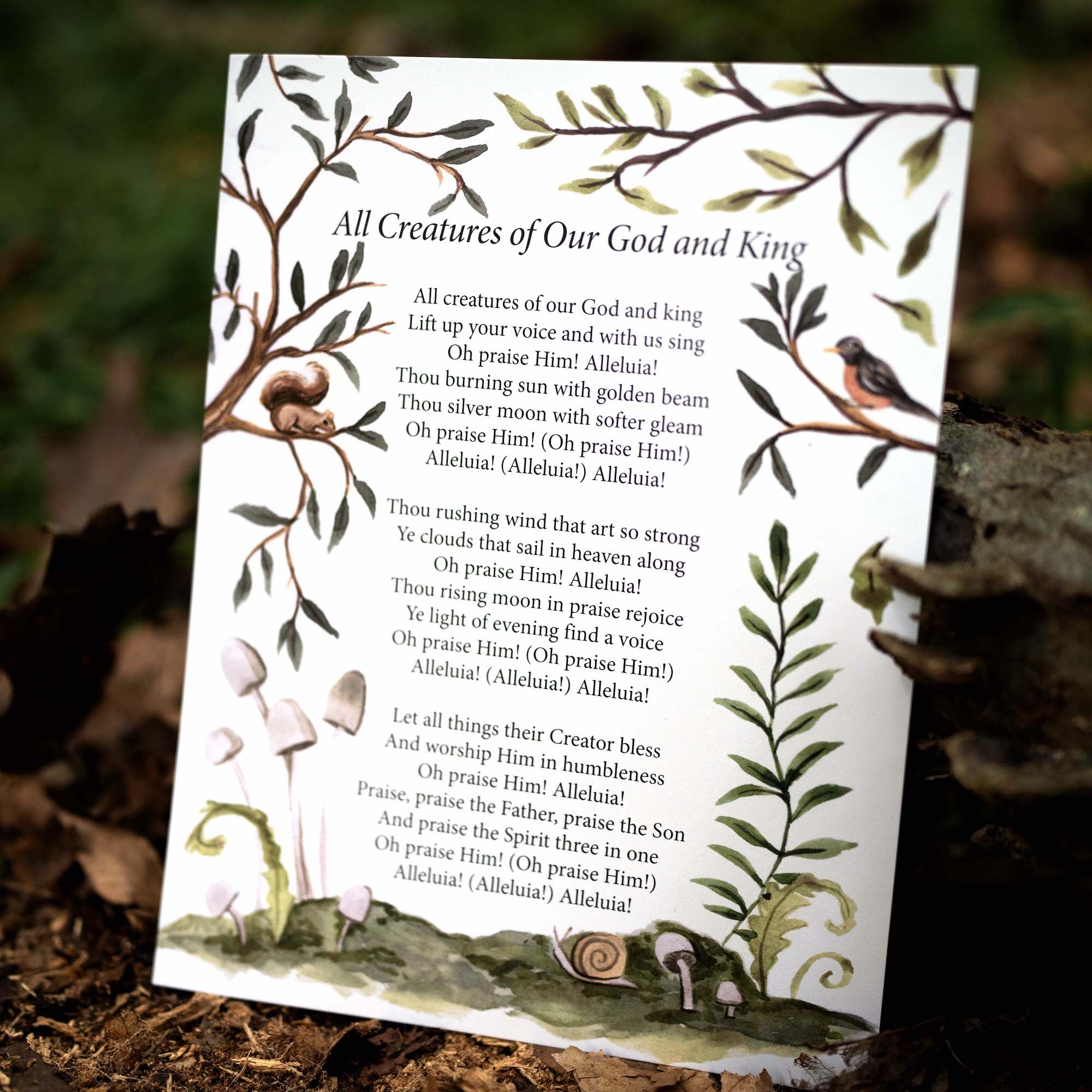 Rooted, Volume One Display Sheets