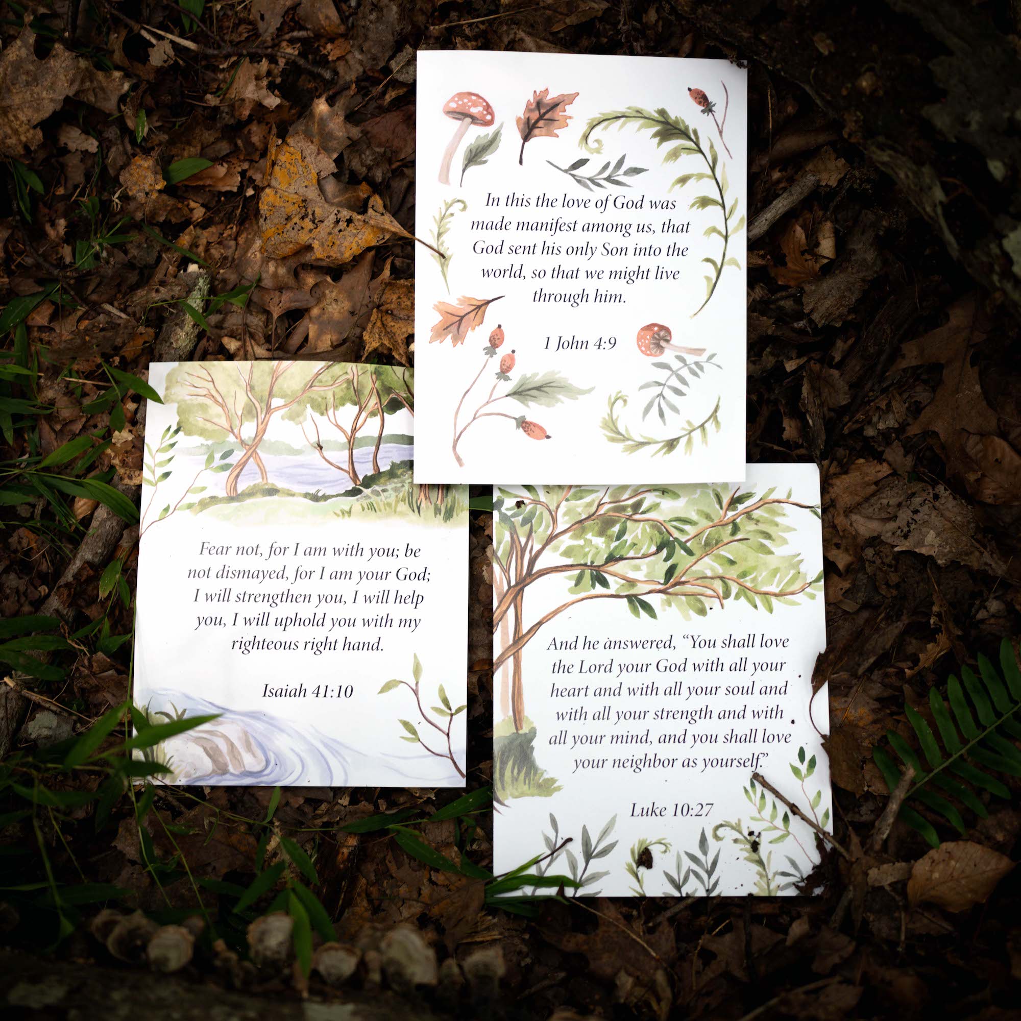 Rooted, Volume One Display Sheets