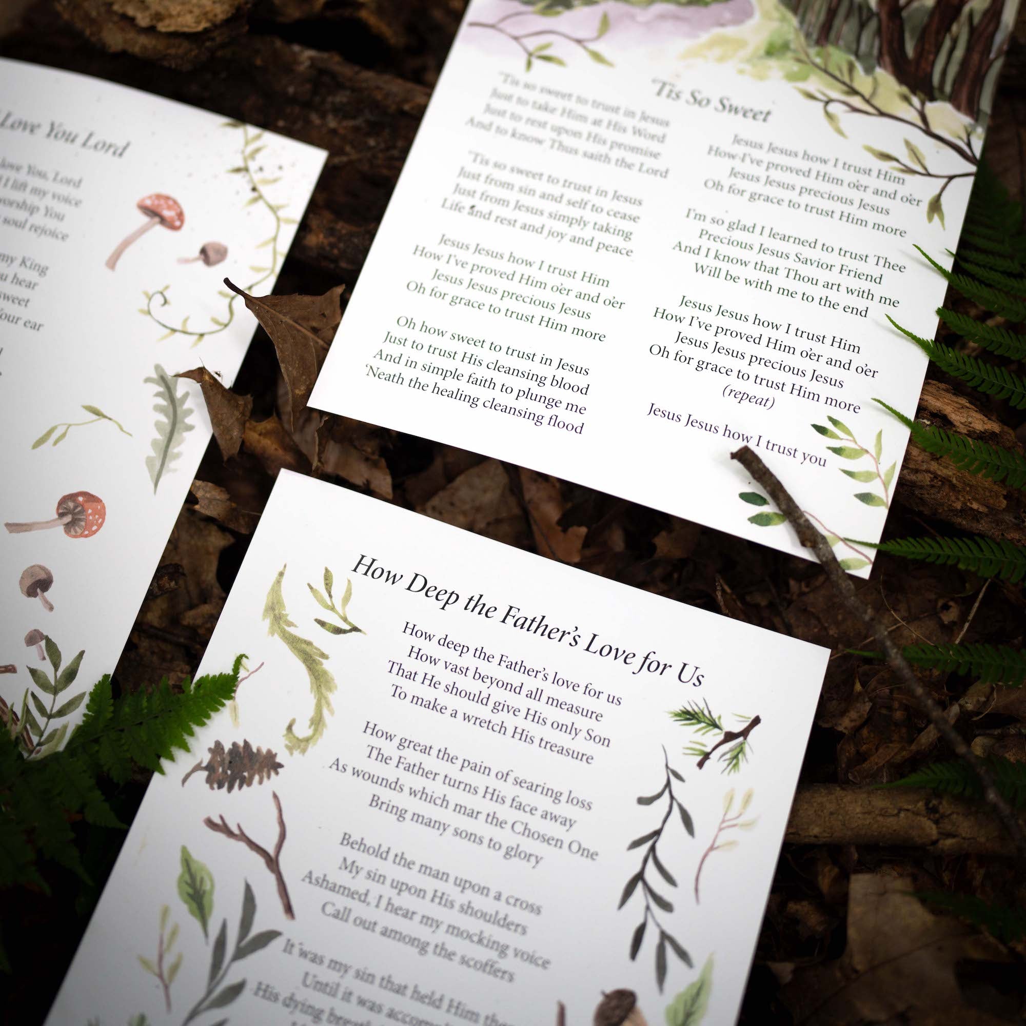 Rooted, Volume One Display Sheets