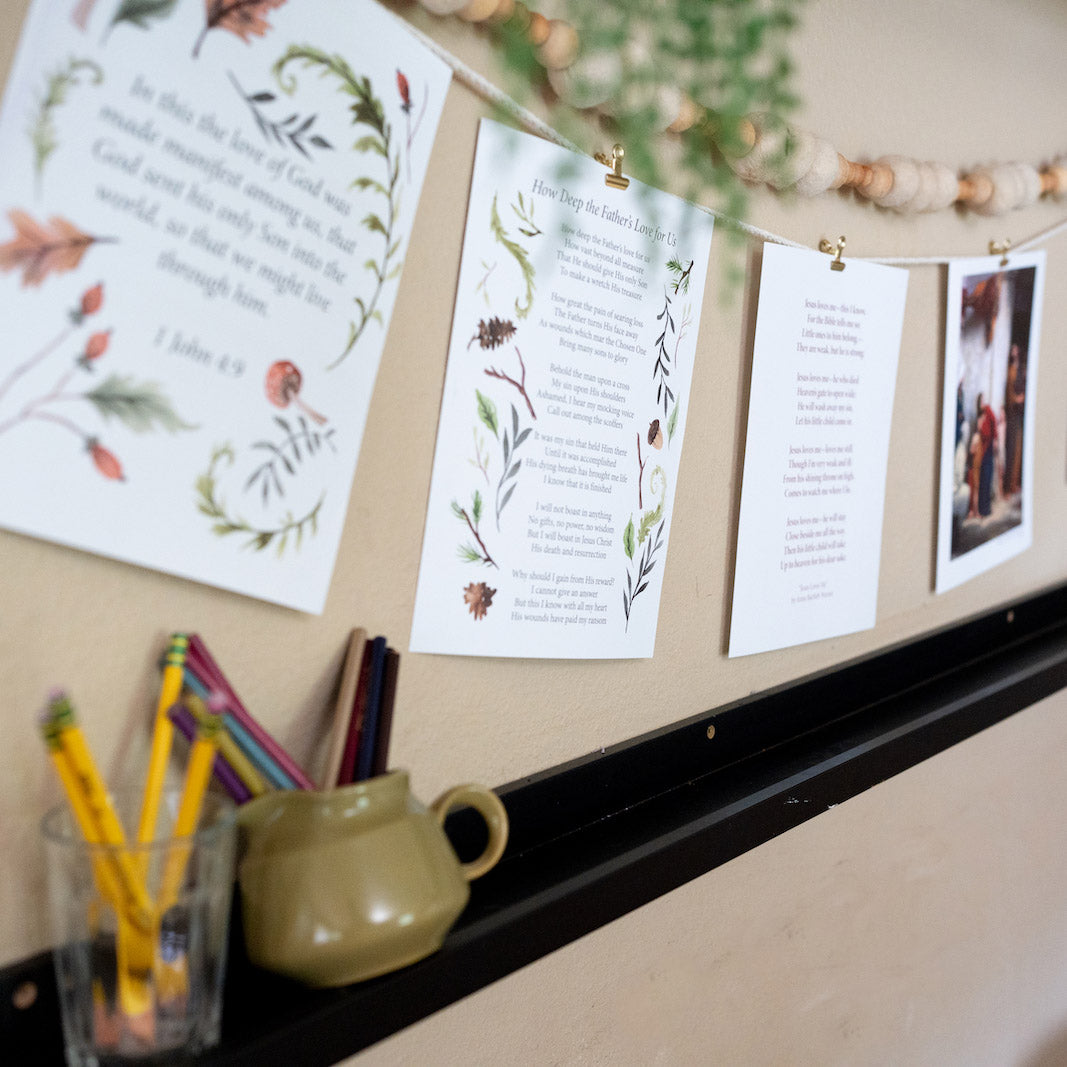 Rooted, Volume One Display Sheets