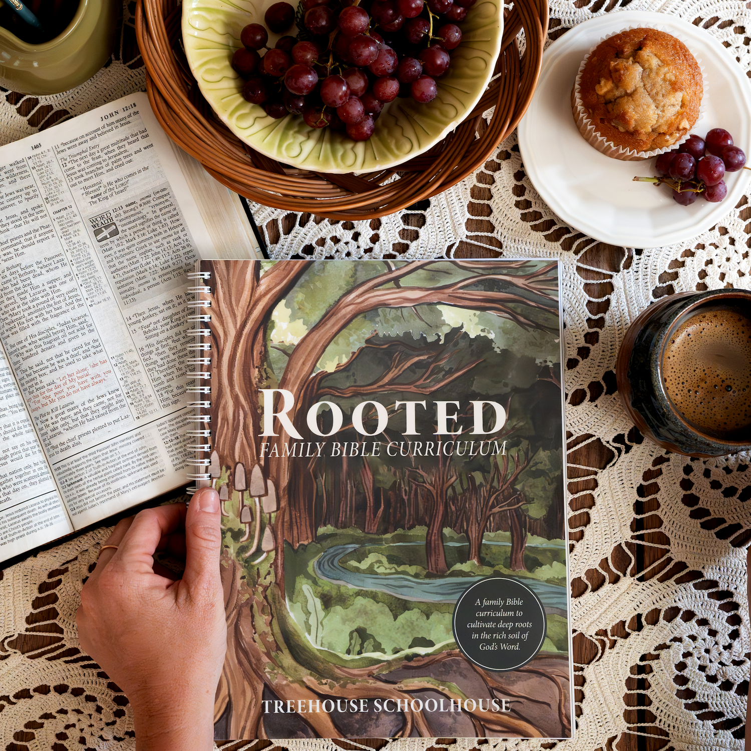 Rooted Family Bible Curriculum