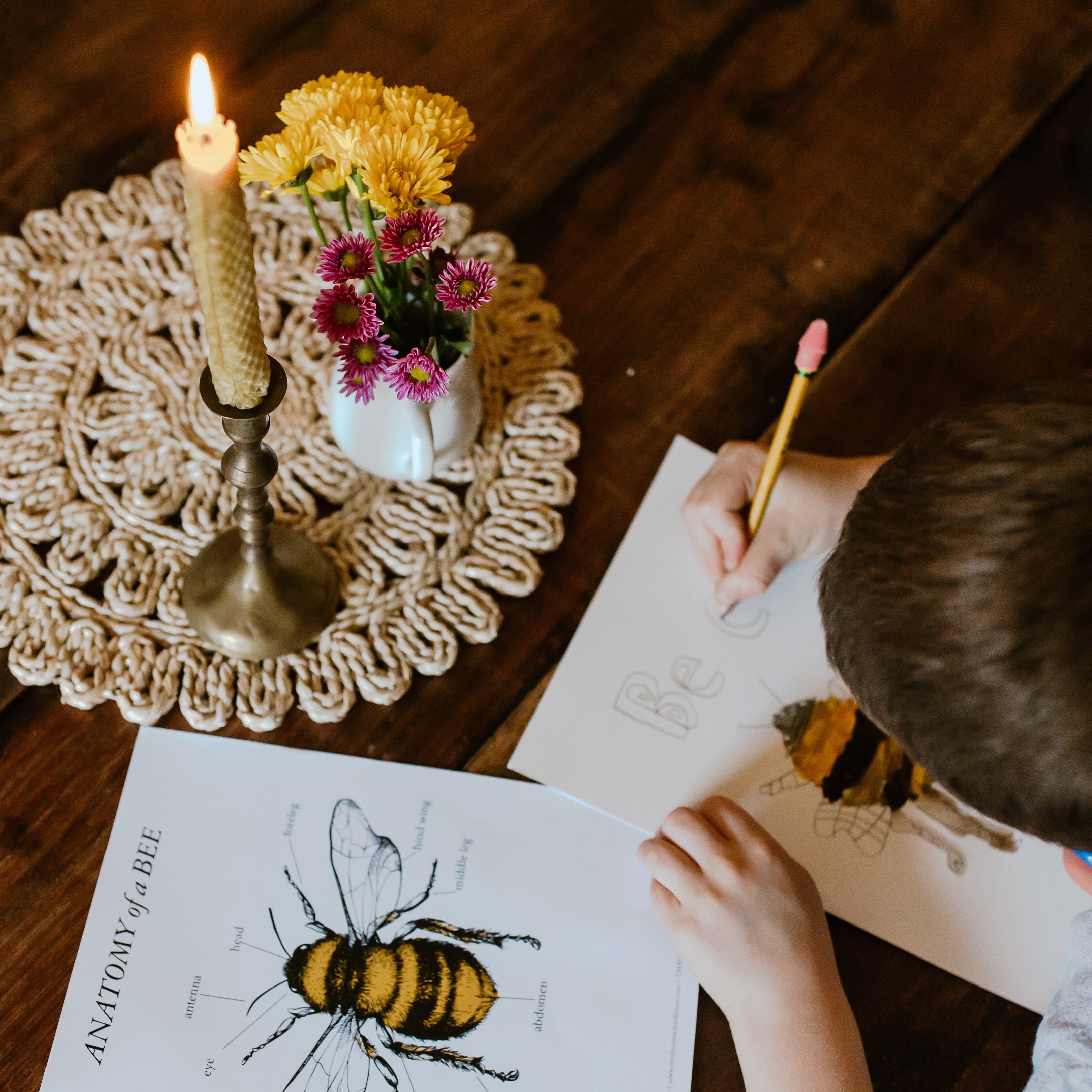 Treehouse Nature Study: Spring