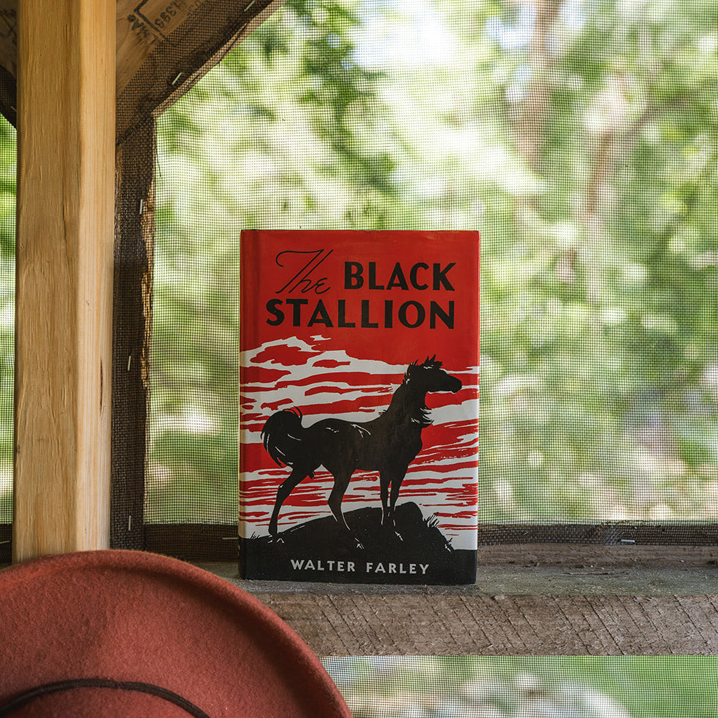 The Black Stallion Book Study