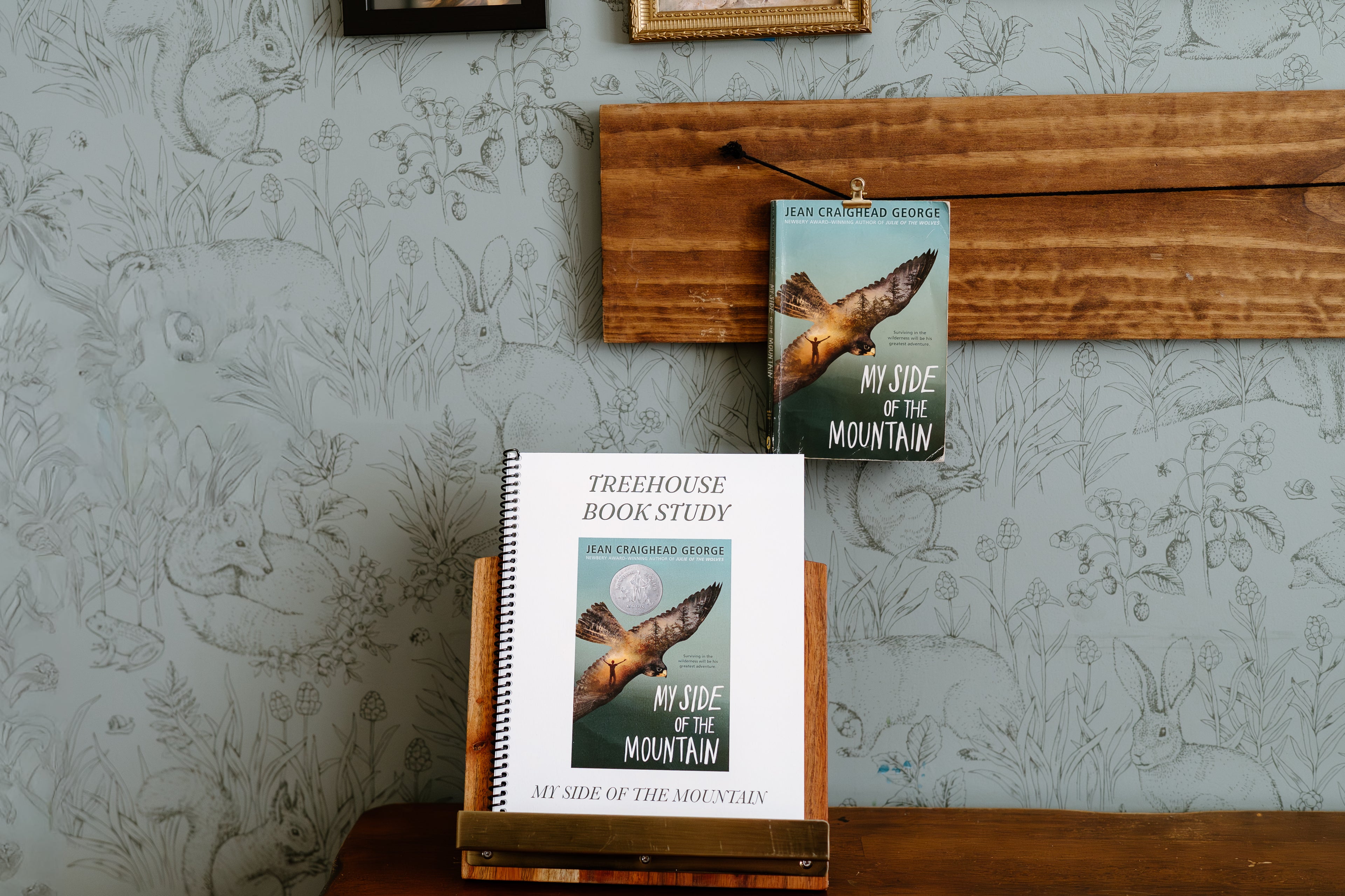 My Side of the Mountain Book Study