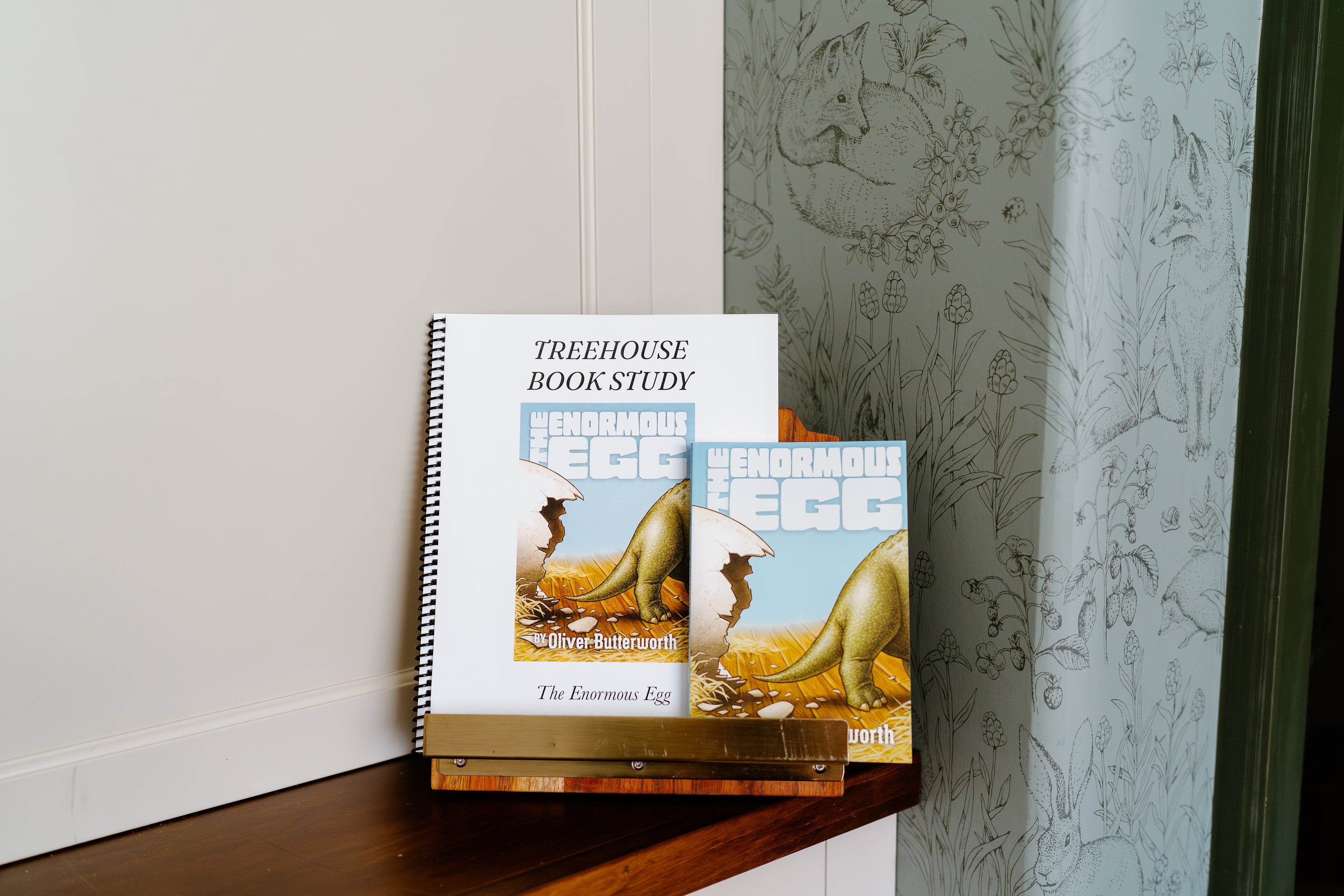 The Enormous Egg Book Study