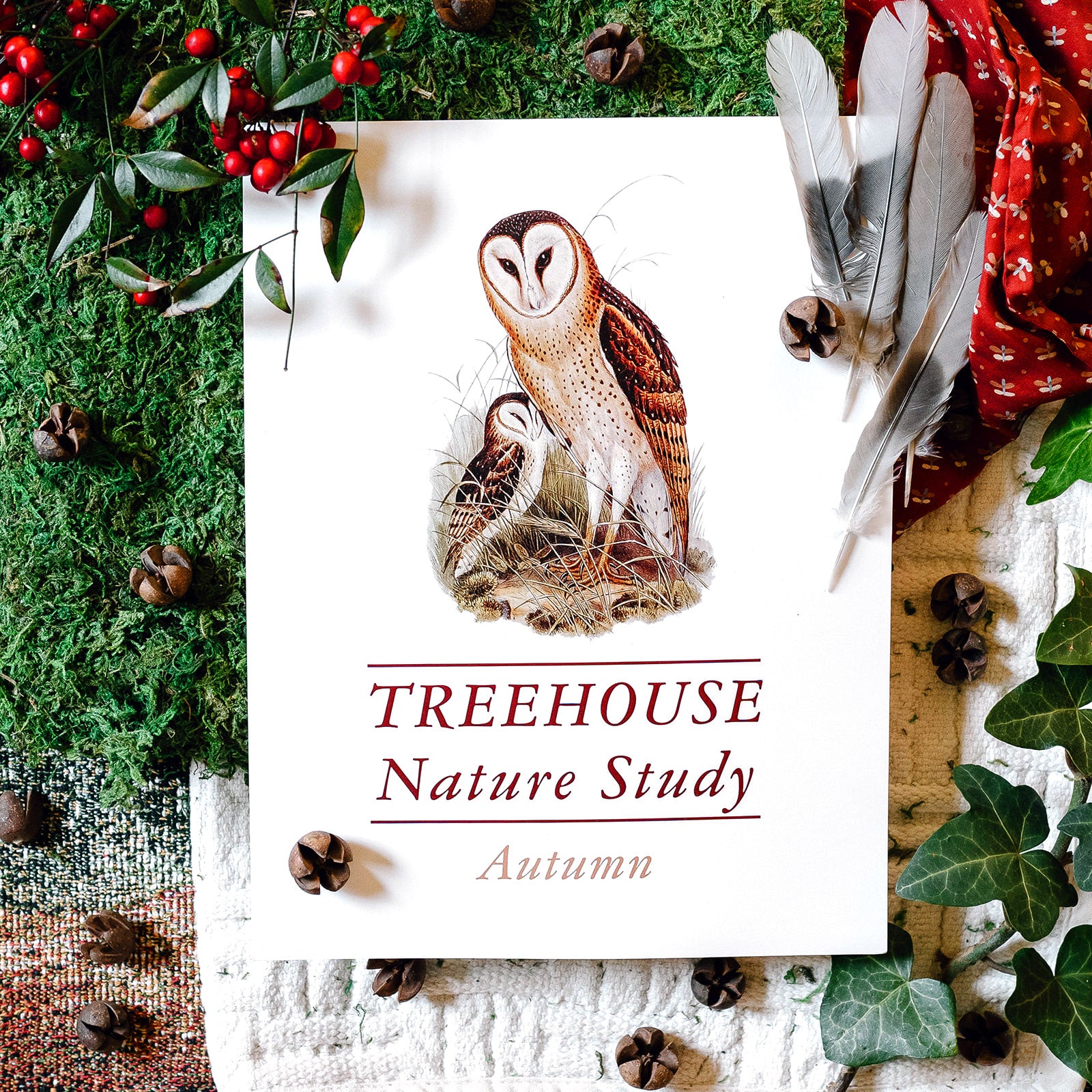 Treehouse　–　Schoolhouse　Study:　Nature　Treehouse　Autumn