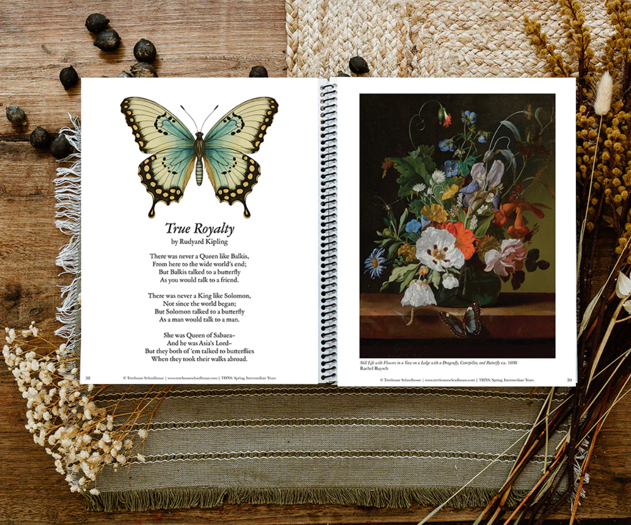 Treehouse Nature Study: Spring, Intermediate Years (Small Group License)