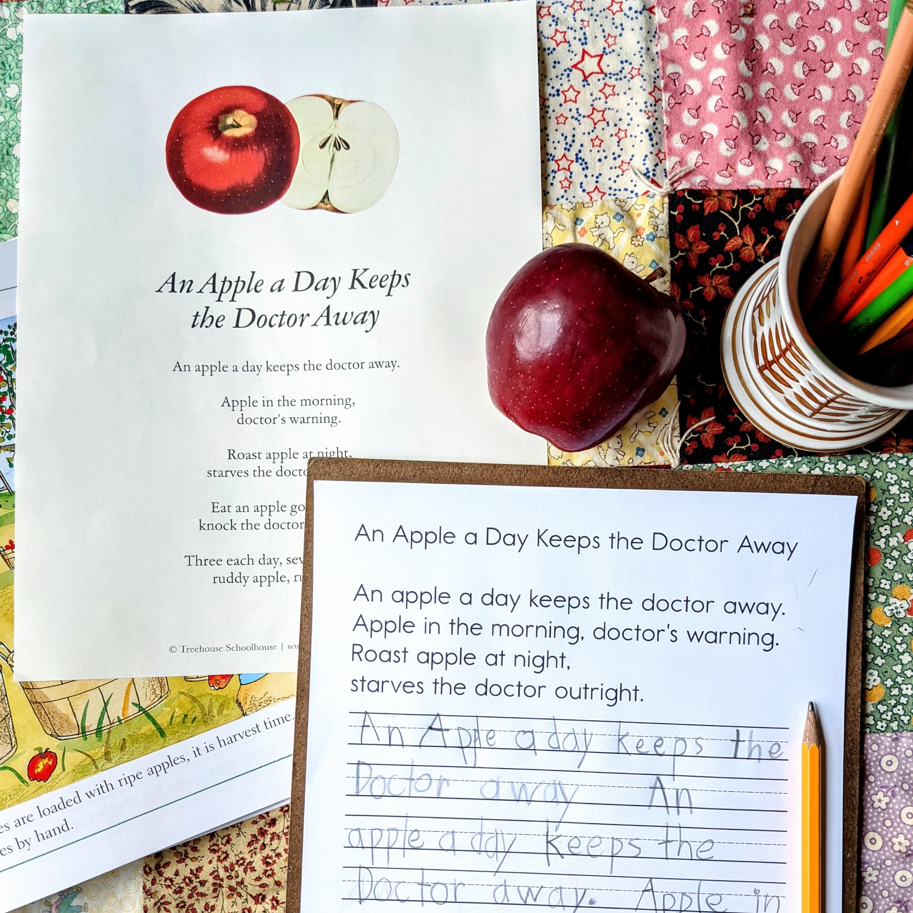 Treehouse Nature Study: Autumn, Primary Years (Small Group License)