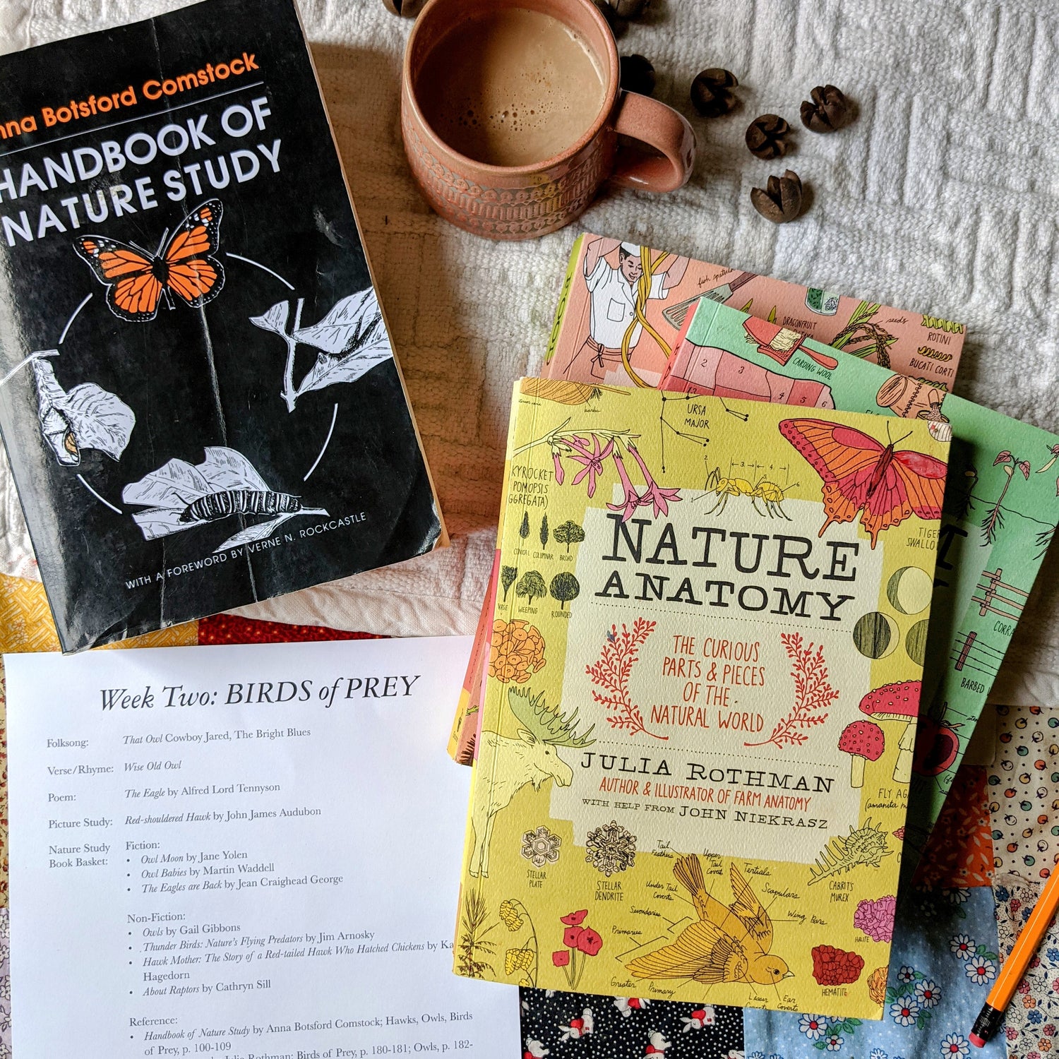 Treehouse Nature Study: Four Seasons Collection