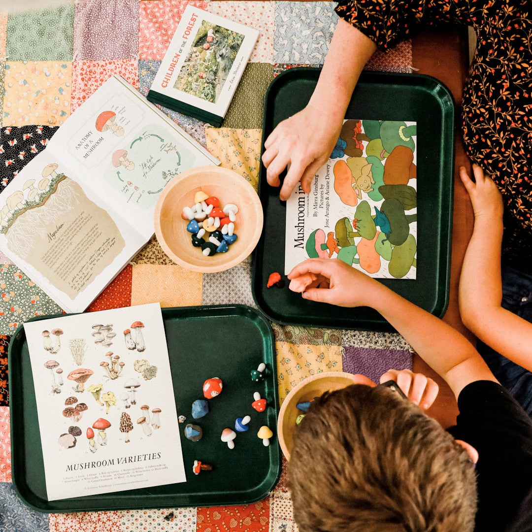 Treehouse Nature Study: Autumn, Primary Years (Small Group License)
