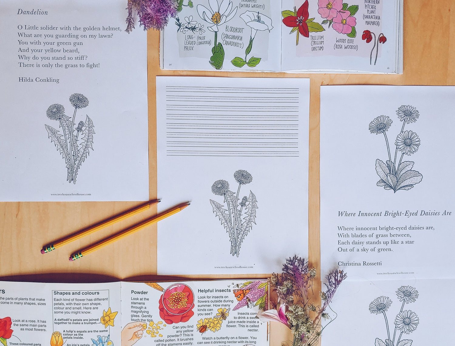 Nature Poetry Collection