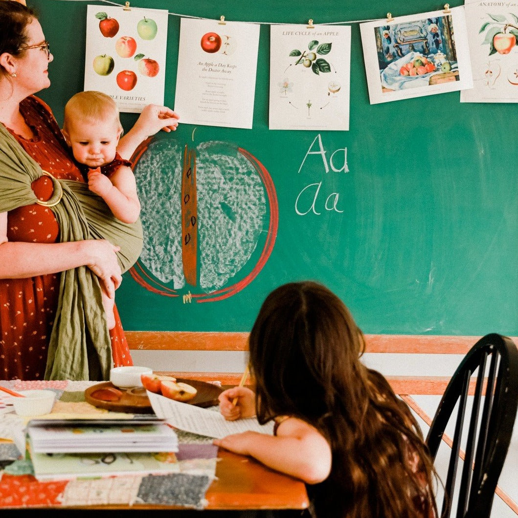 Treehouse Nature Study: Autumn, Primary Years (Small Group License)