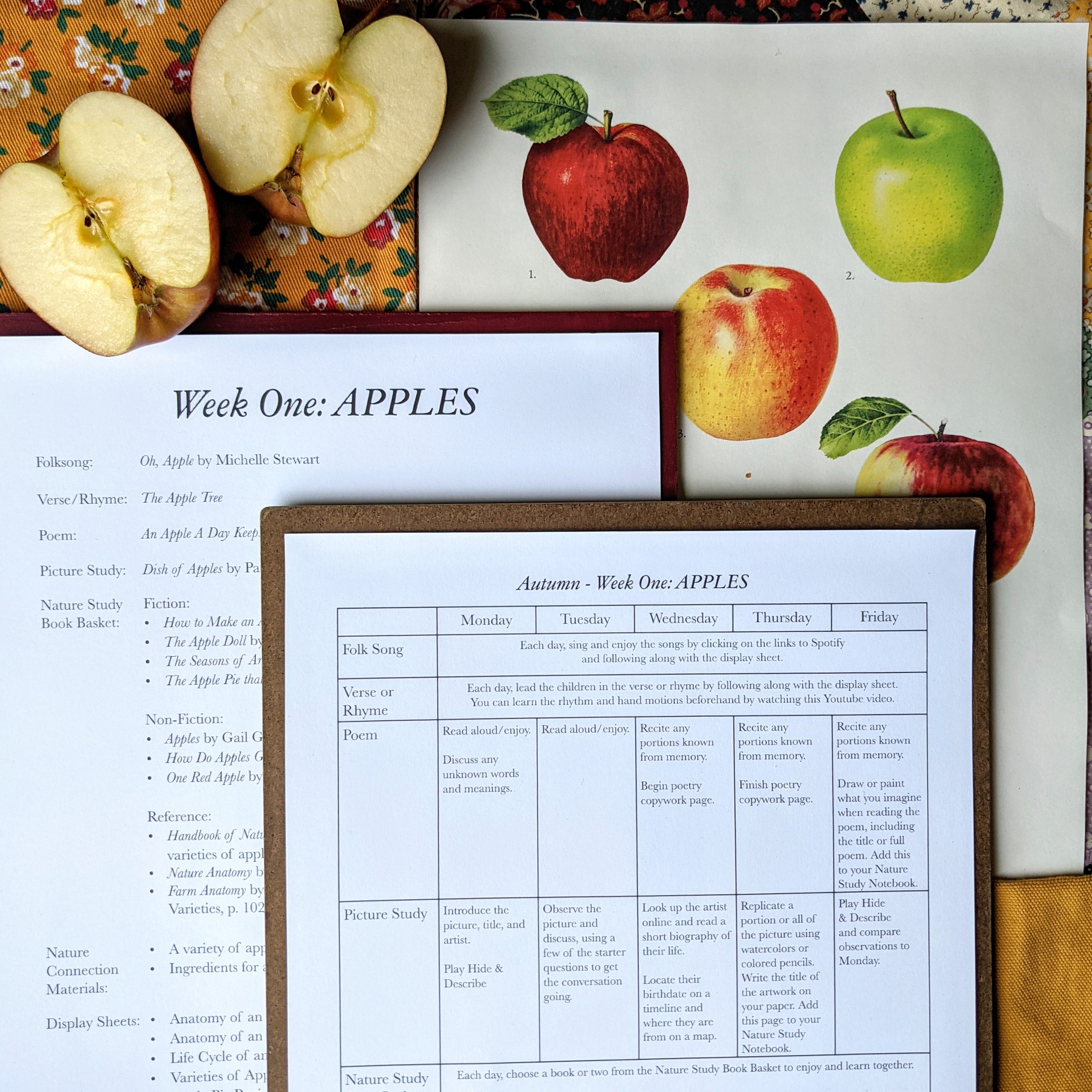Treehouse Nature Study: Autumn, Primary Years (Small Group License)