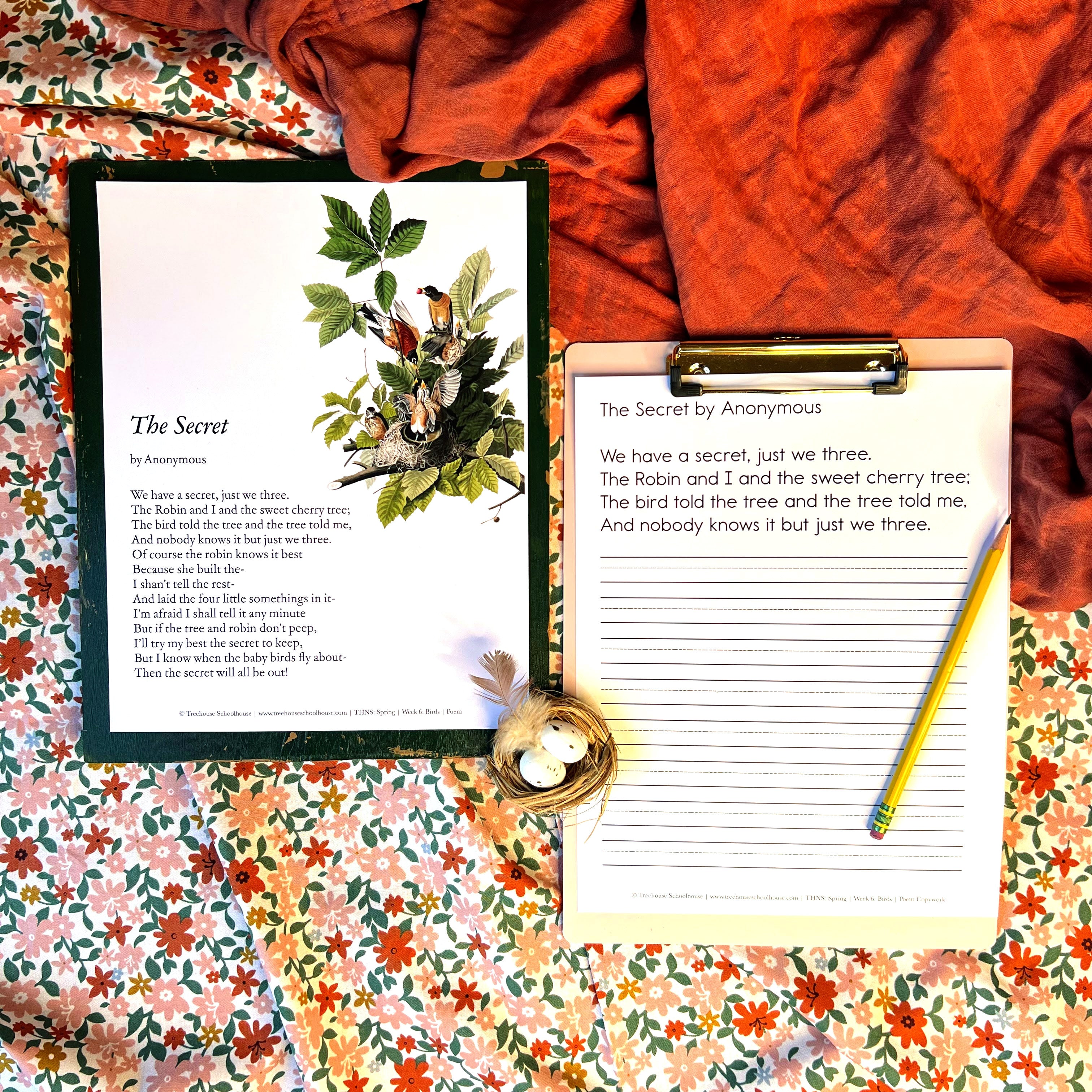 Treehouse Nature Study: Spring