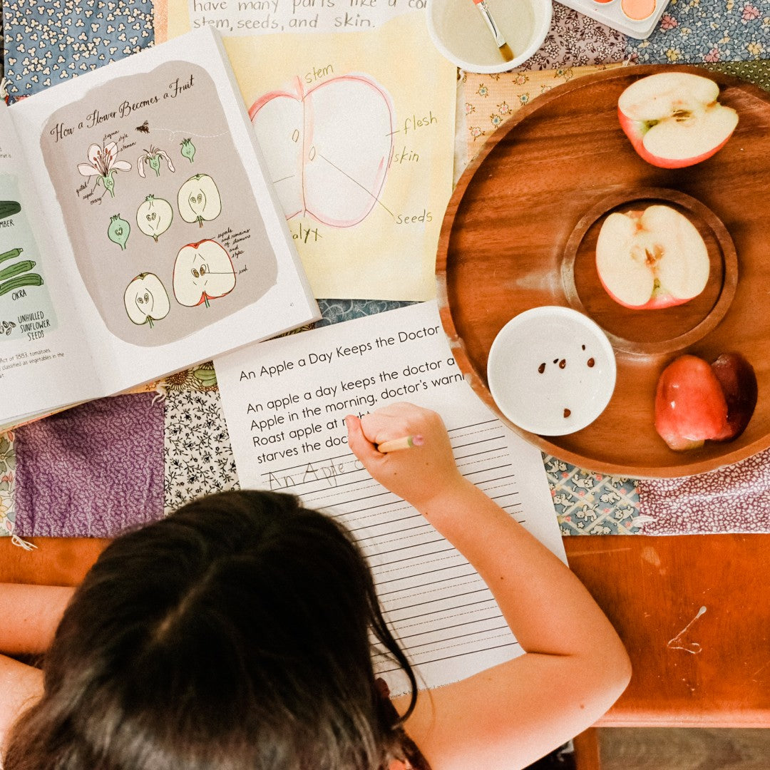 Treehouse Nature Study: Autumn, Primary Years (Small Group License)
