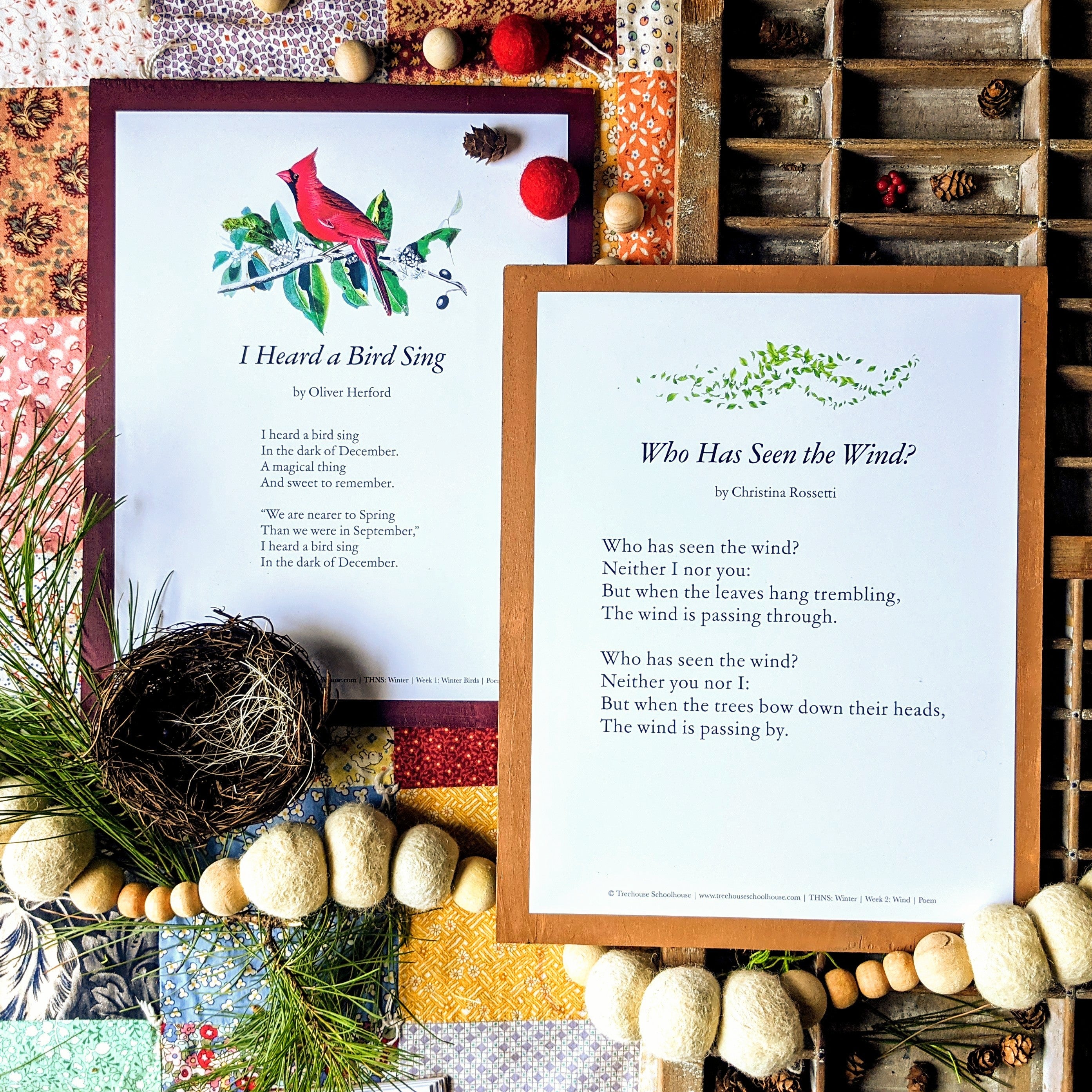 Treehouse Nature Study: Winter, Primary Years