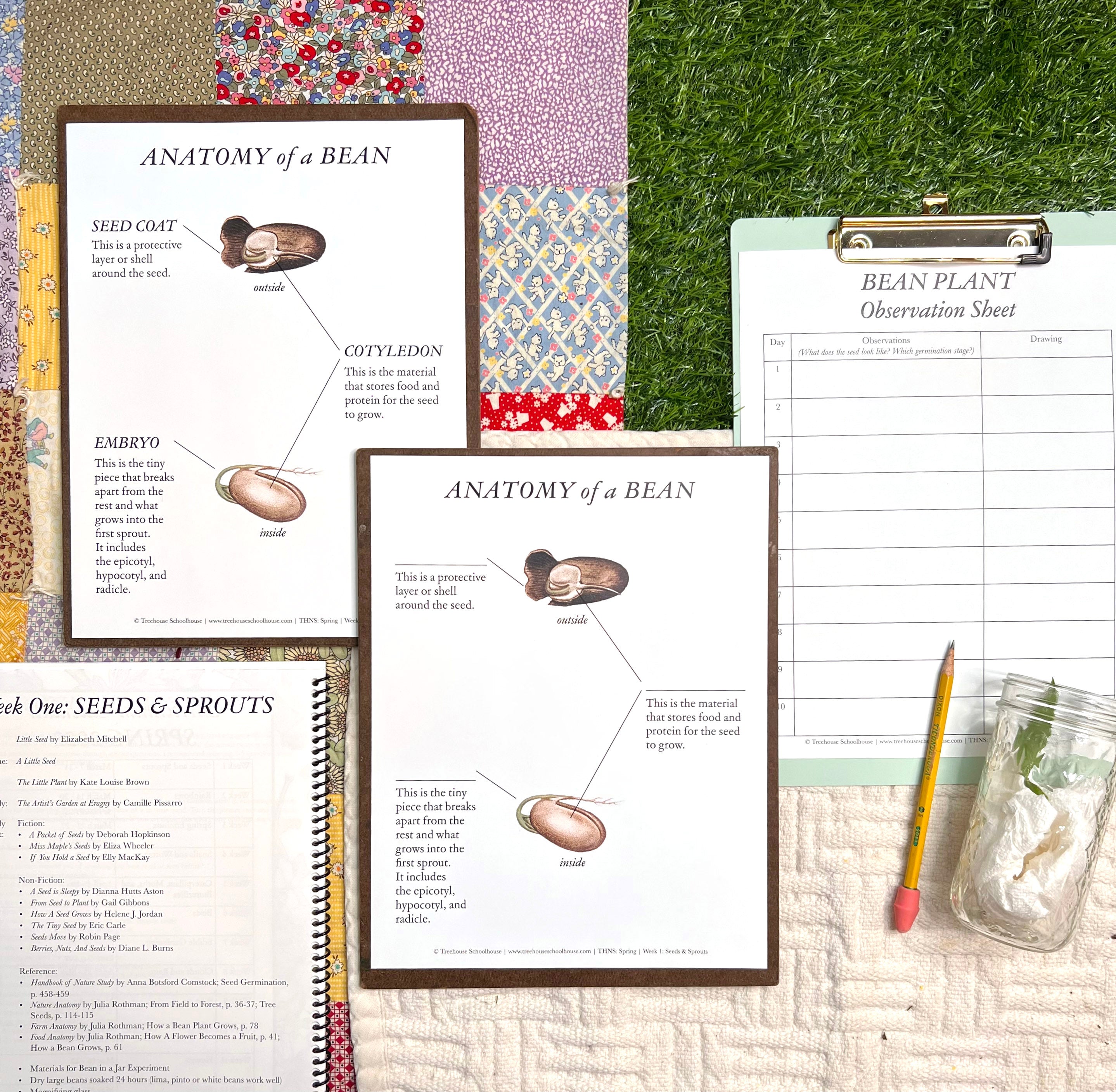 Treehouse Nature Study: Four Seasons Collection, Primary Years (Small Group License)