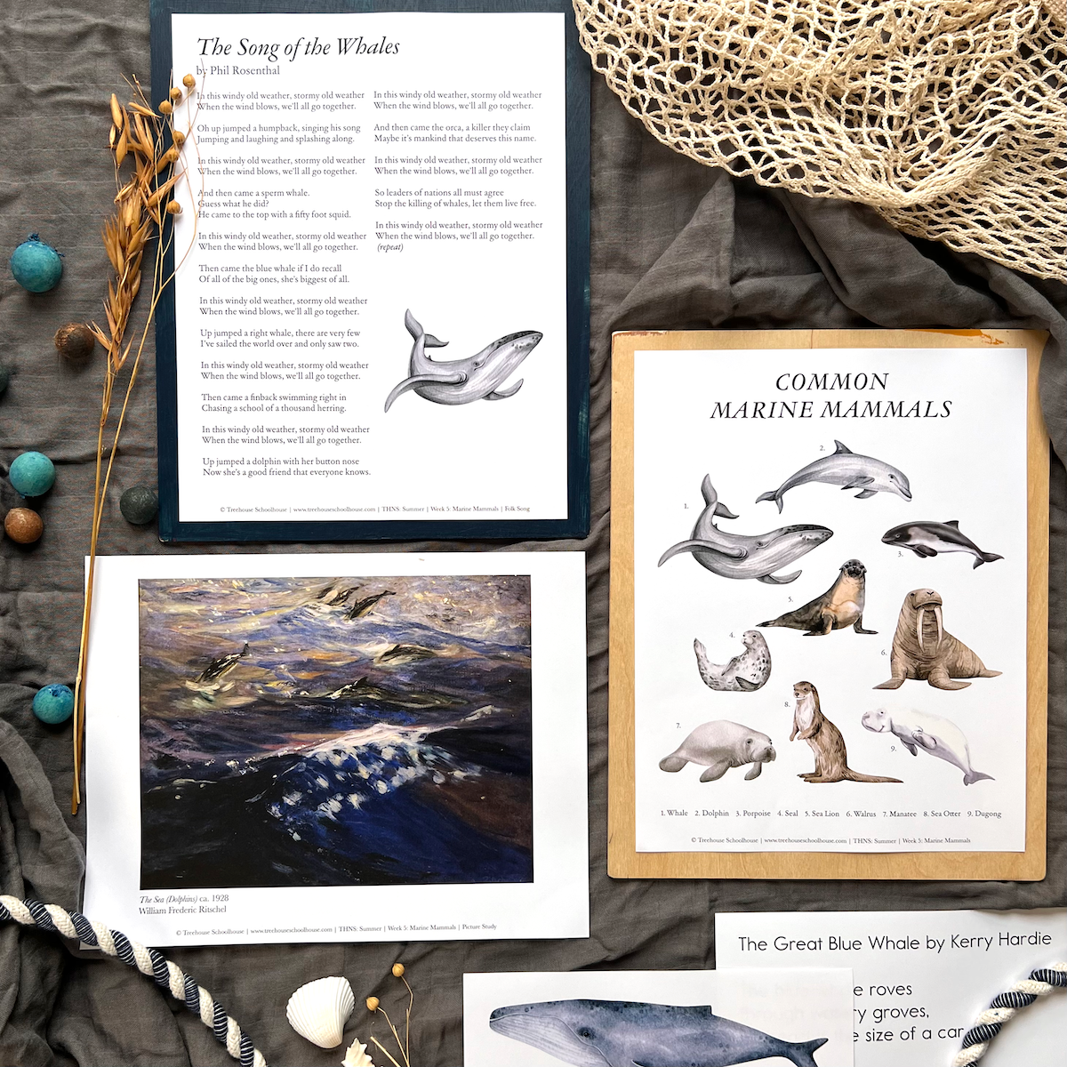Treehouse Nature Study: Four Seasons Collection, Primary Years (Small Group License)