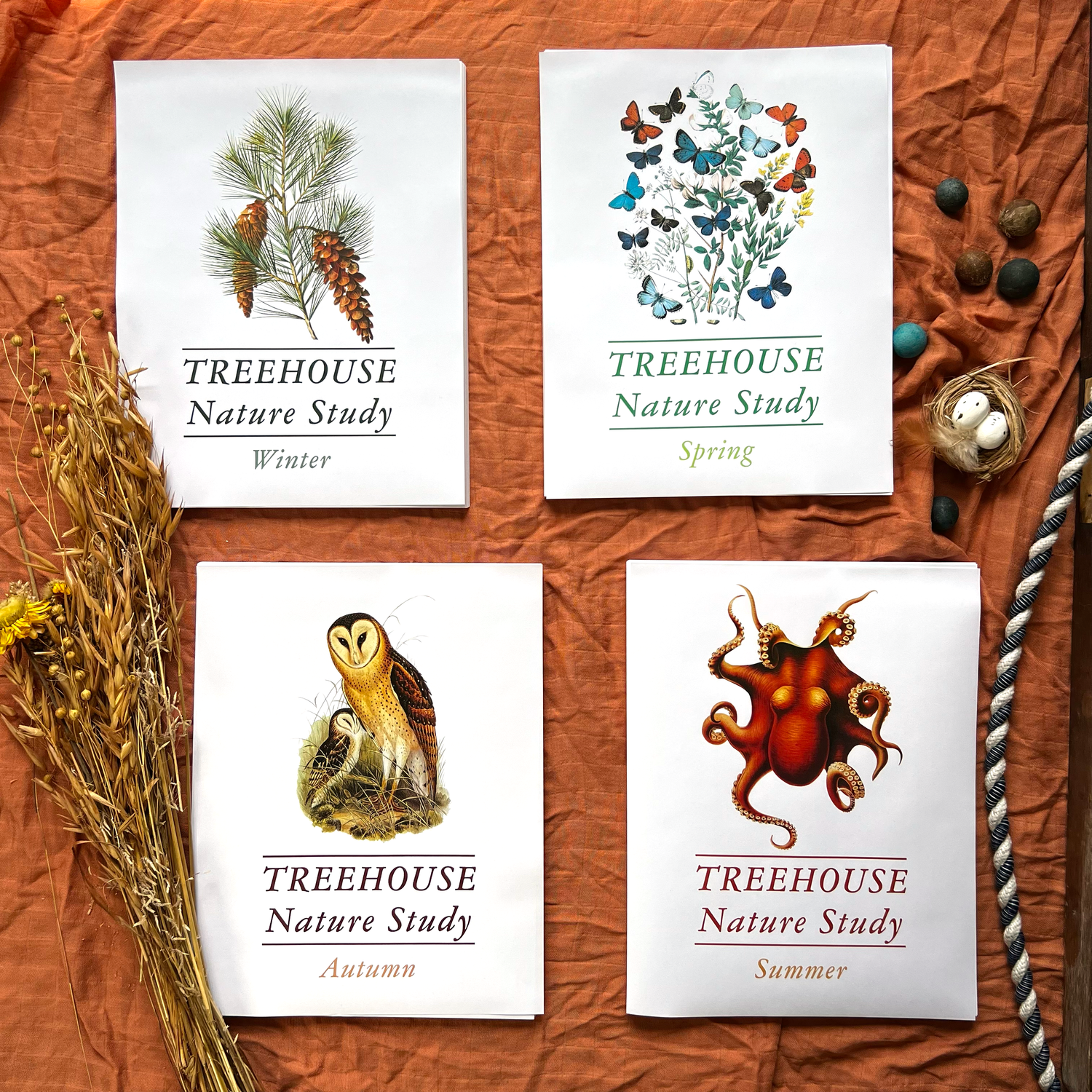 Treehouse Nature Study: Four Seasons Collection (Small Group License)