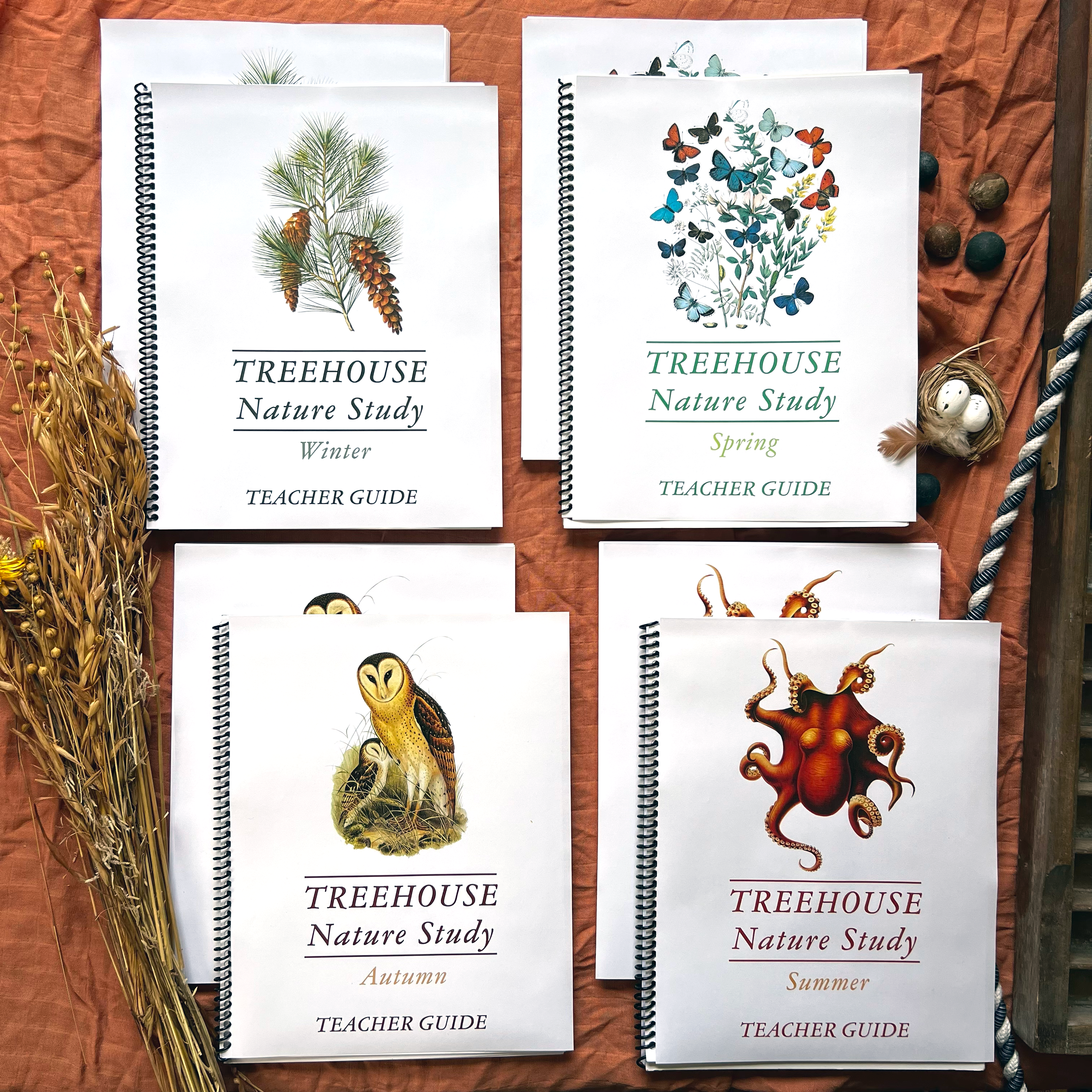 Treehouse Nature Study: Four Seasons Collection