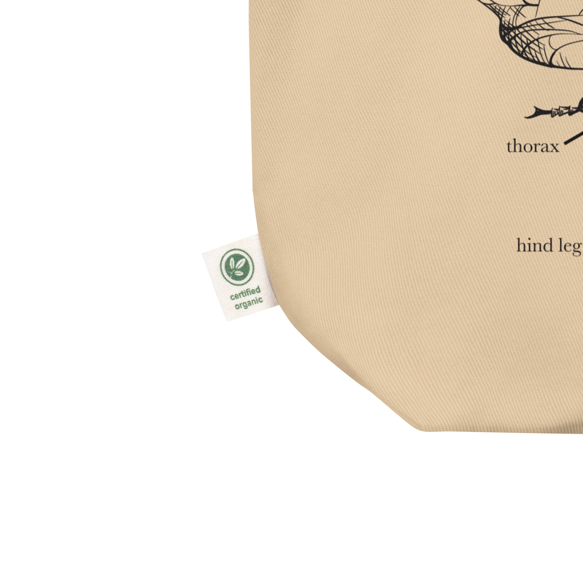 Bee Anatomy Tote Bag