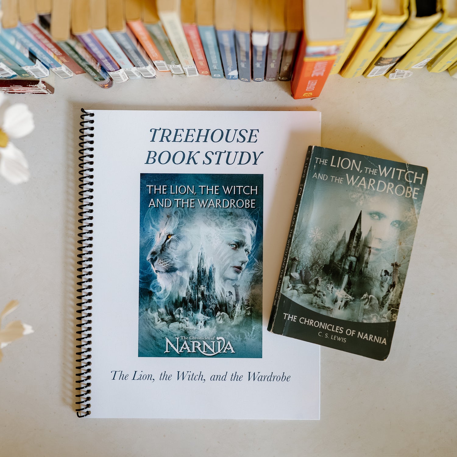 13 Narnia Book Study Activities for Kids [Free Copywork PDF]