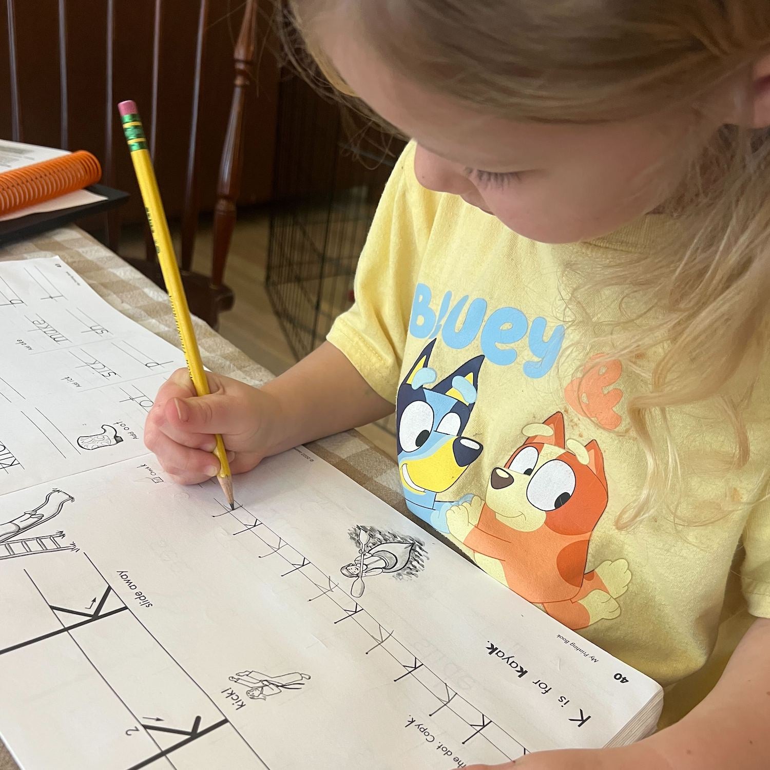 Handwriting Without Tears Curriculum Review