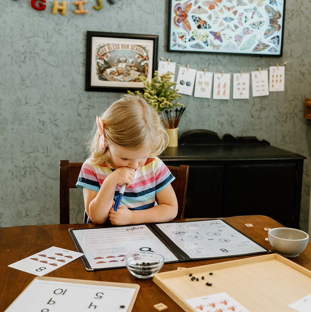 Homeschool Room Tour and Setup Ideas [Video]