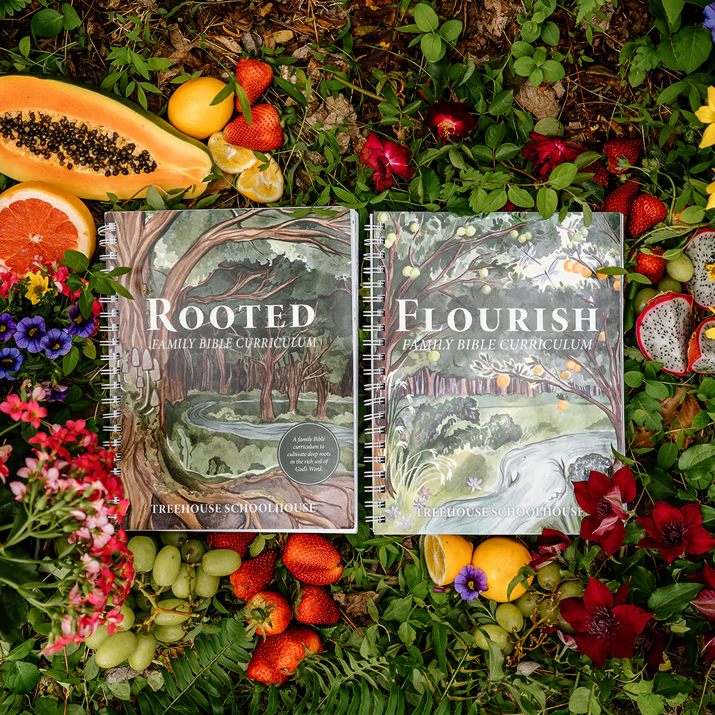 Family Bible Curriculum