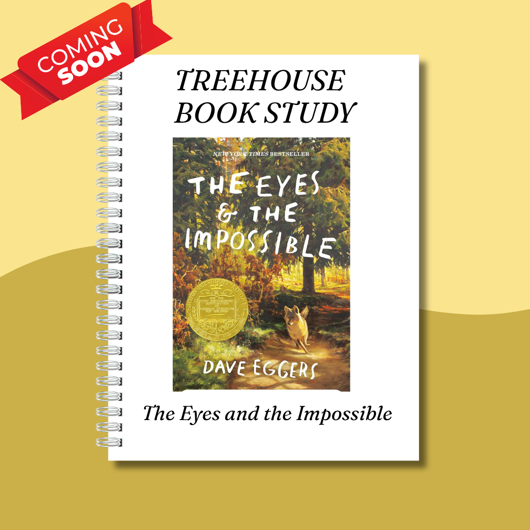 The Eyes and the Impossible Book Study