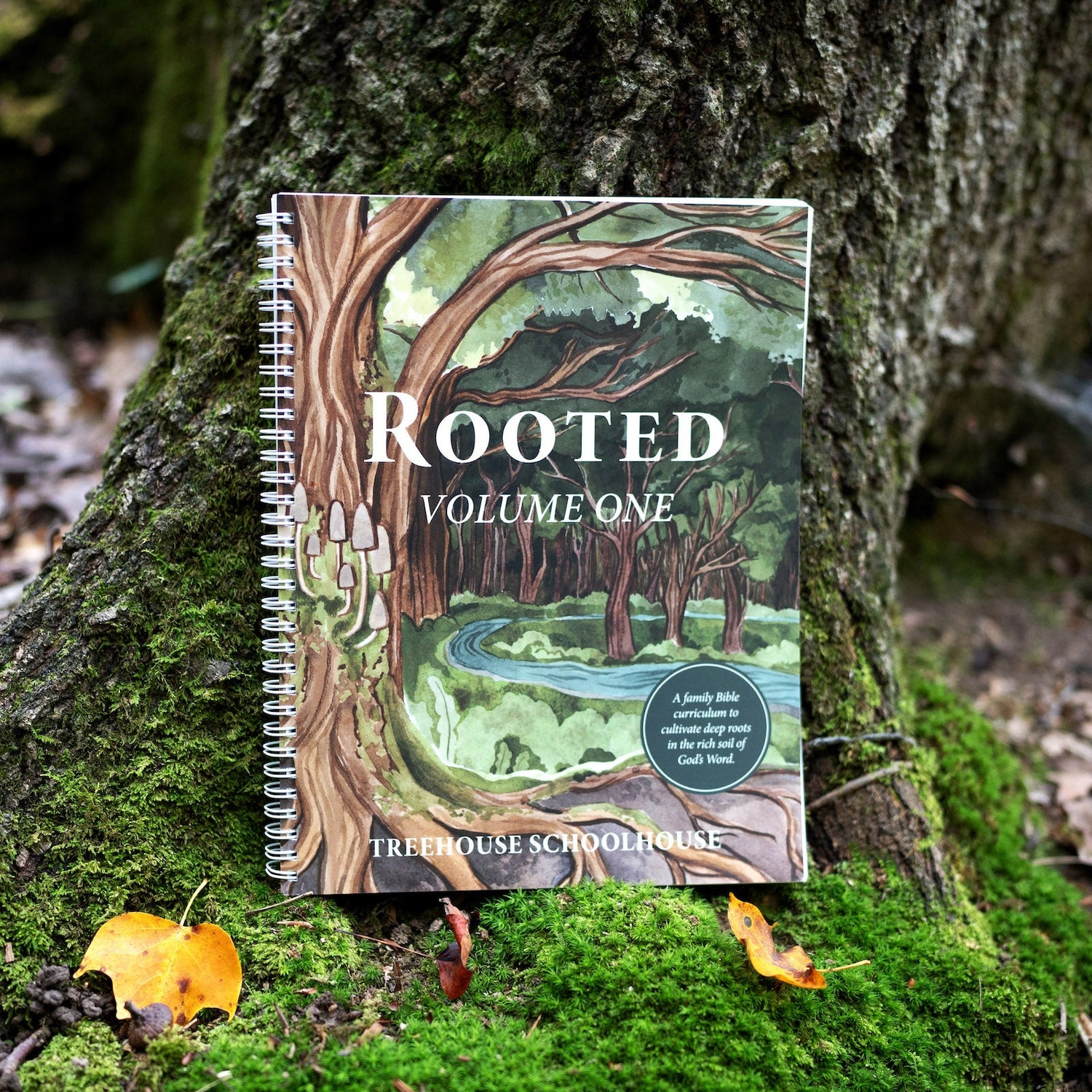 Rooted Family Bible Curriculum