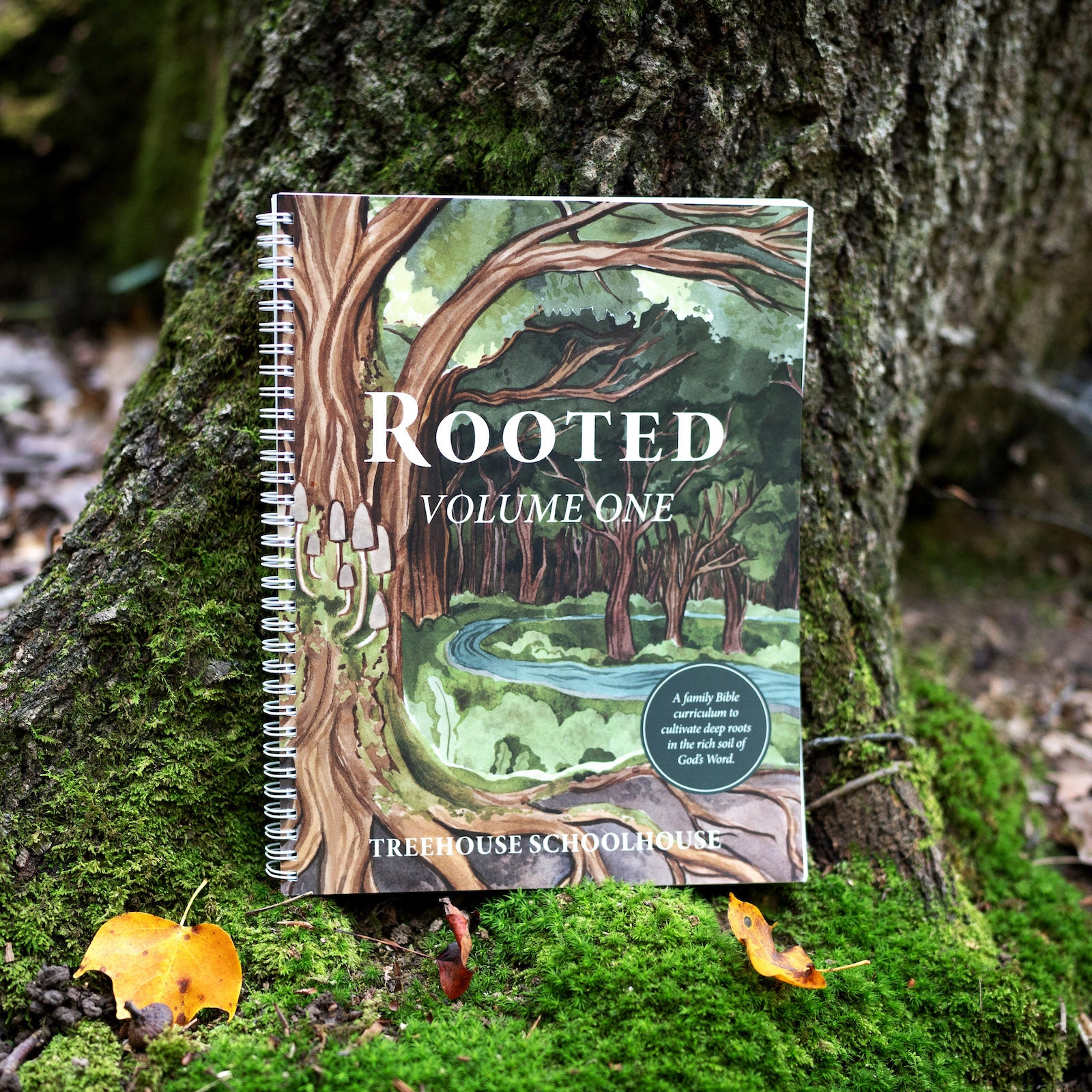 Rooted Family Bible Curriculum, Volume One – Treehouse Schoolhouse