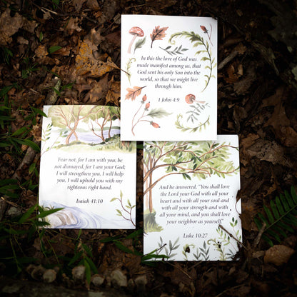 Rooted, Volume One Display Sheets
