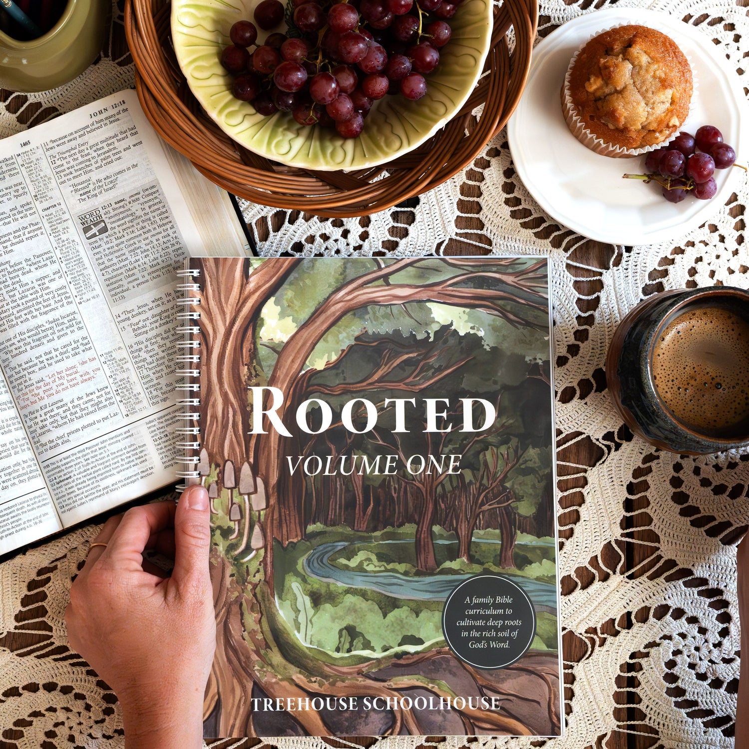 Rooted Family Bible Curriculum, Volume One (Small Group License)