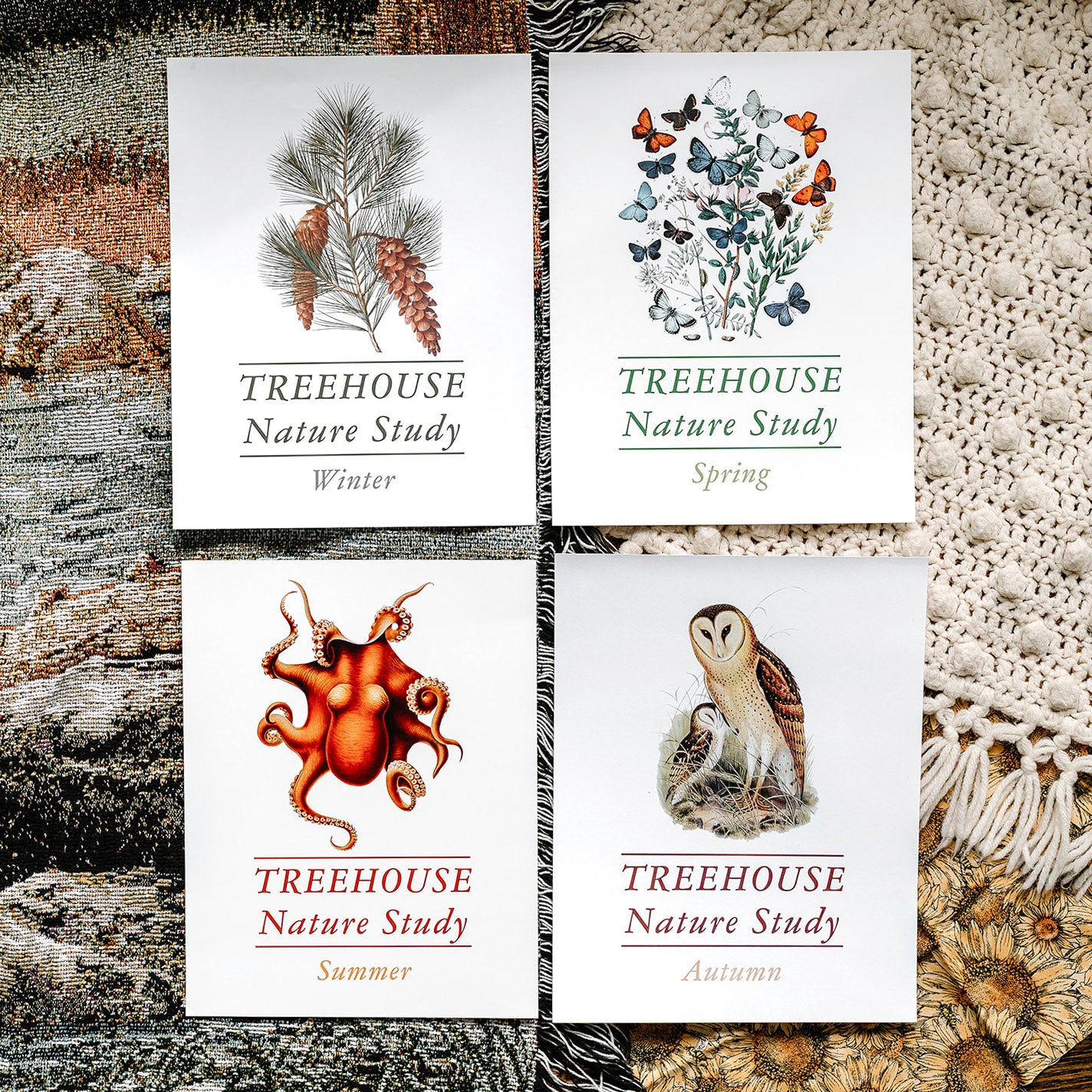 Treehouse Nature Study: Four Seasons Collection