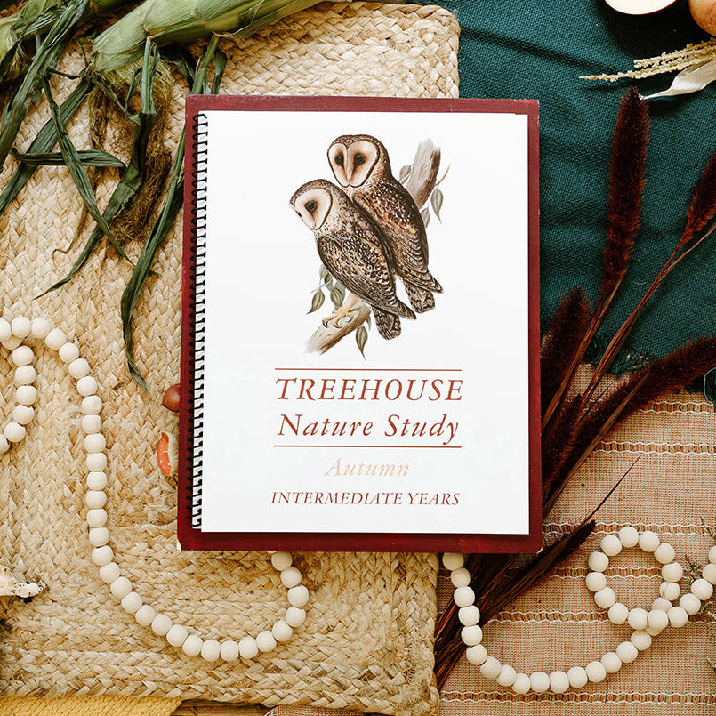 Treehouse Nature Study: Autumn, Intermediate Years (Small Group License)