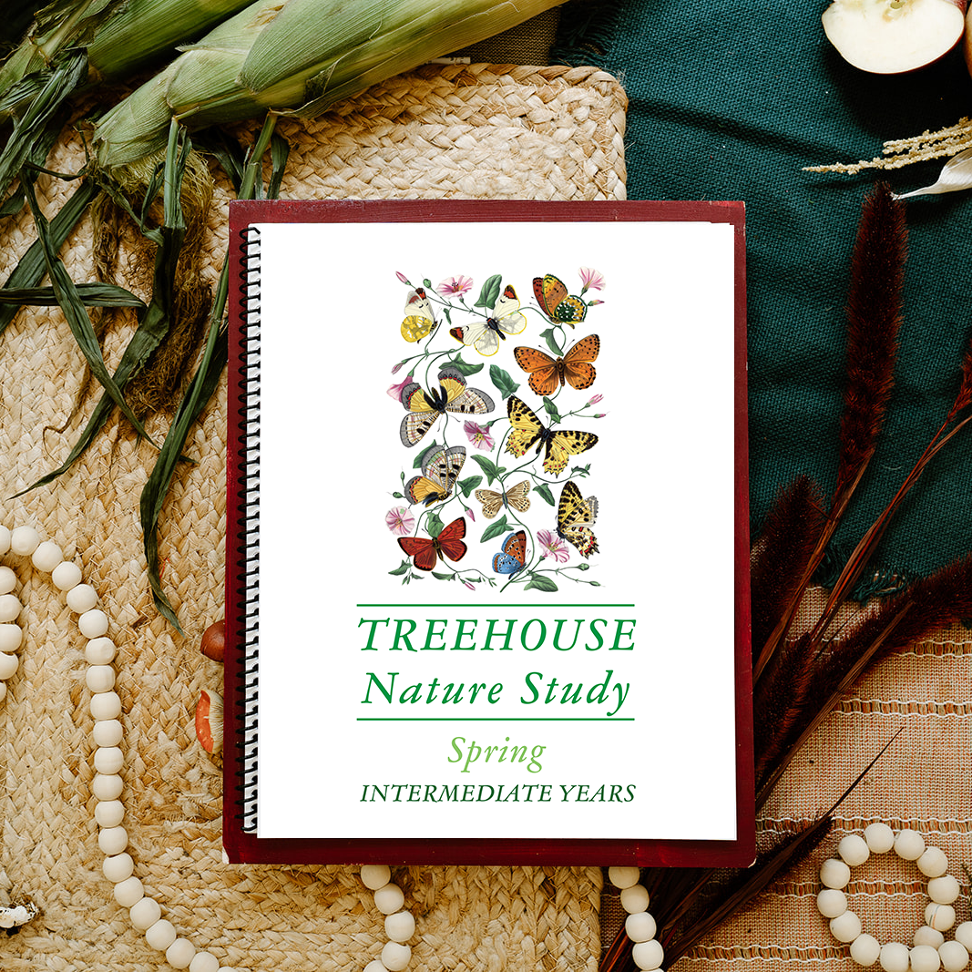 Treehouse Nature Study: Spring, Intermediate Years – Treehouse Schoolhouse