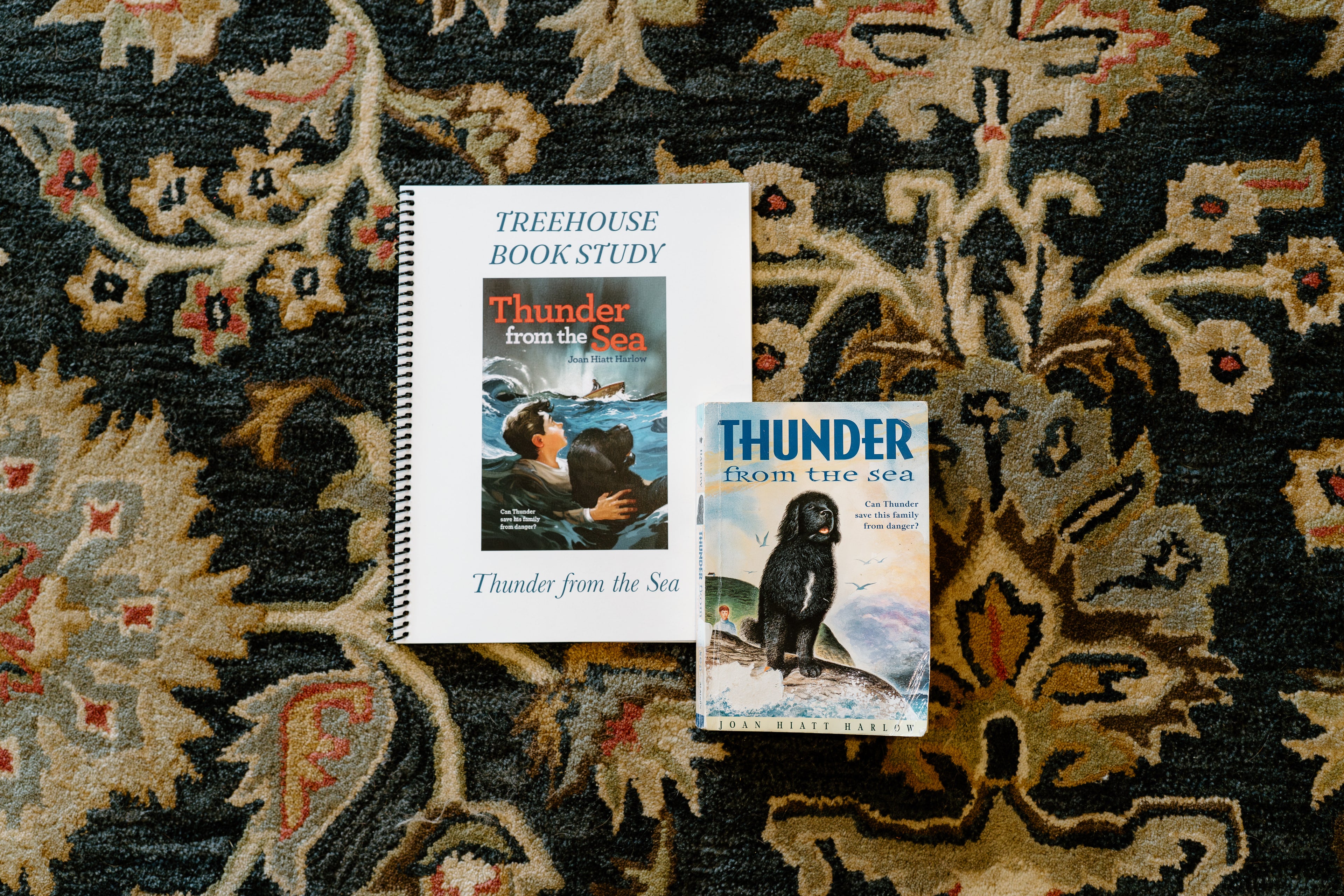 Thunder from the Sea Book Study