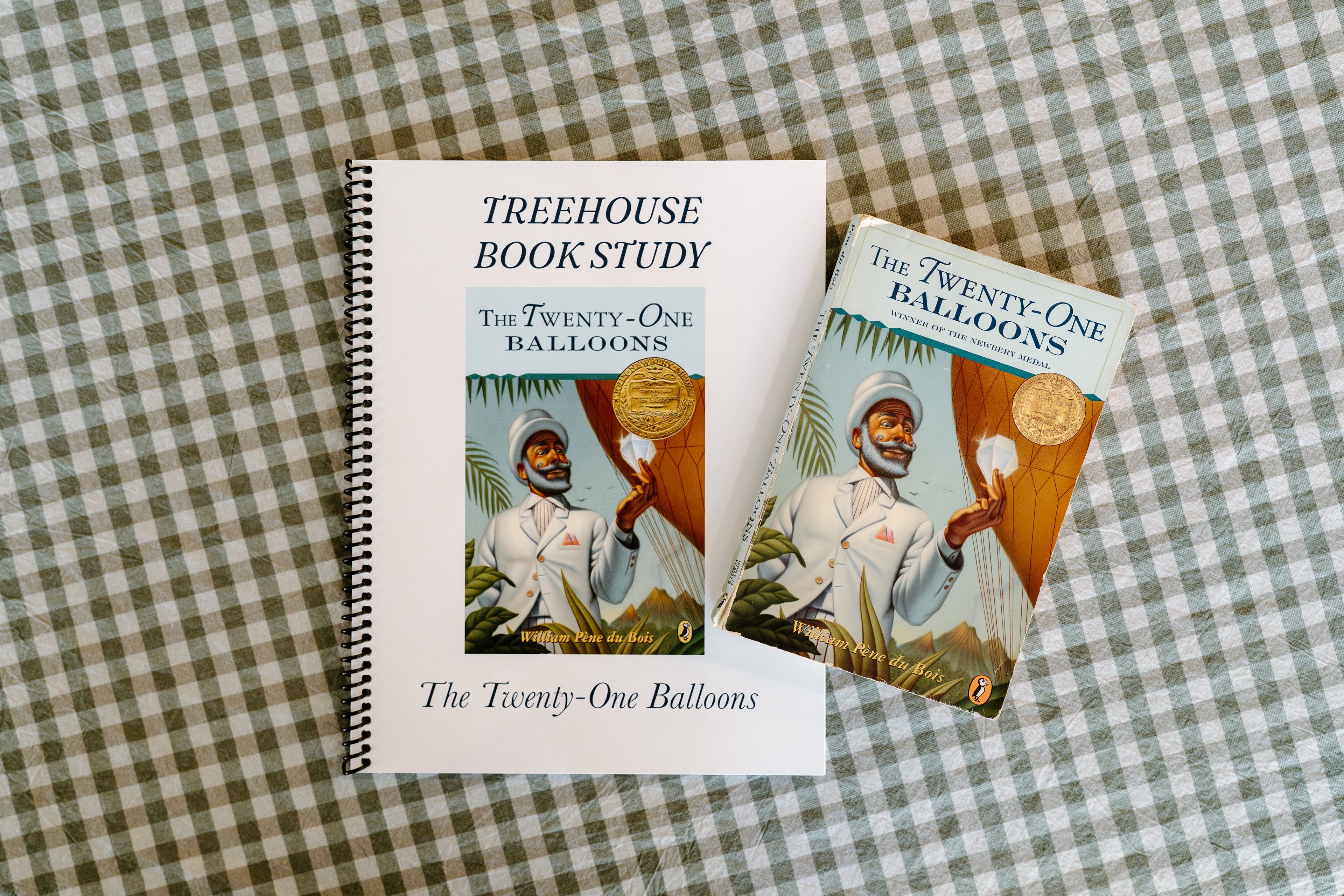 The Twenty-One Balloons Book Study