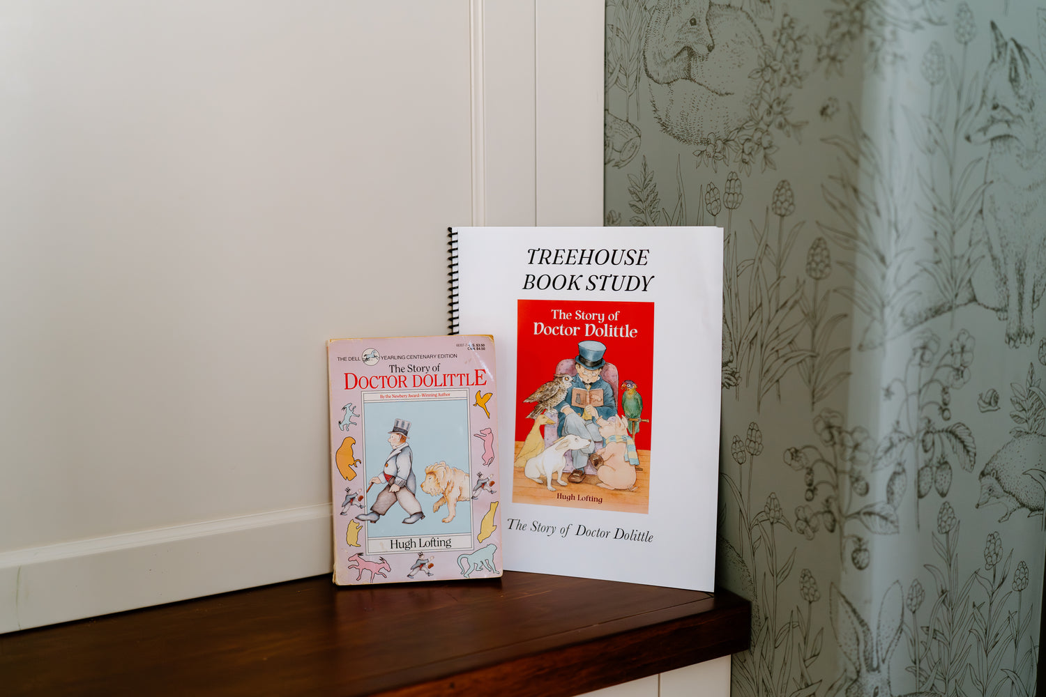 The Story of Doctor Dolittle Book Study