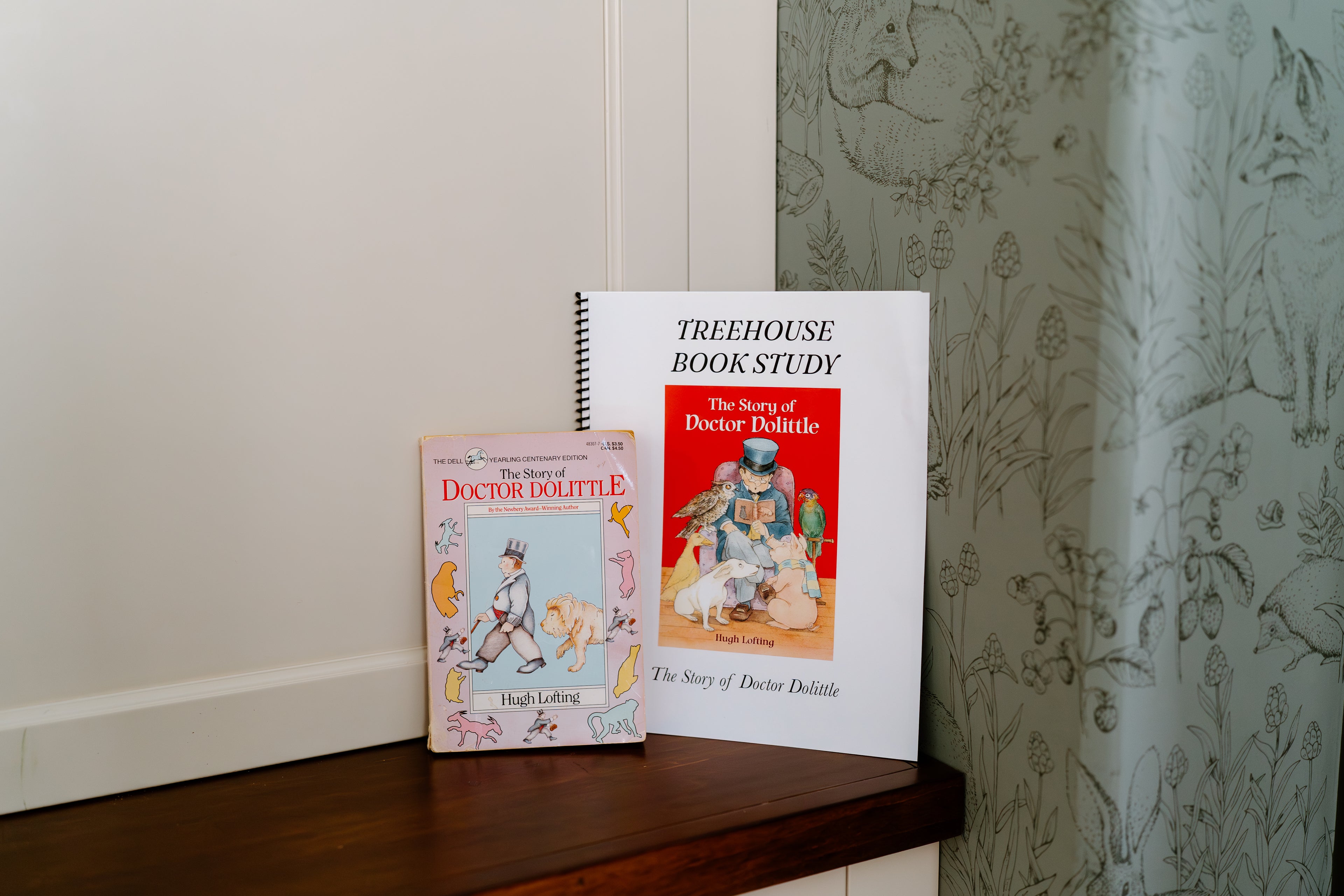 The Story of Doctor Dolittle Book Study