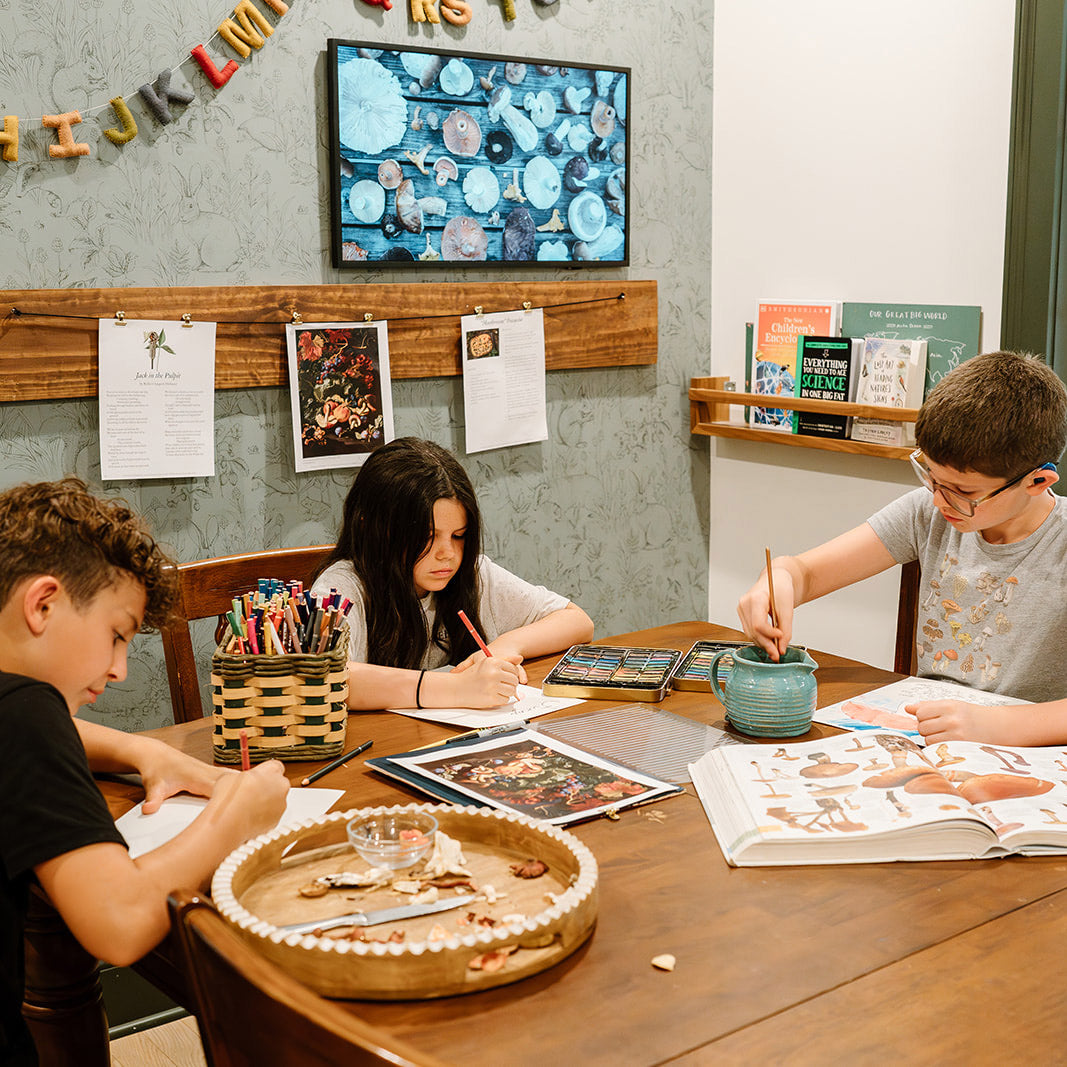 Treehouse Nature Study: Spring, Intermediate Years