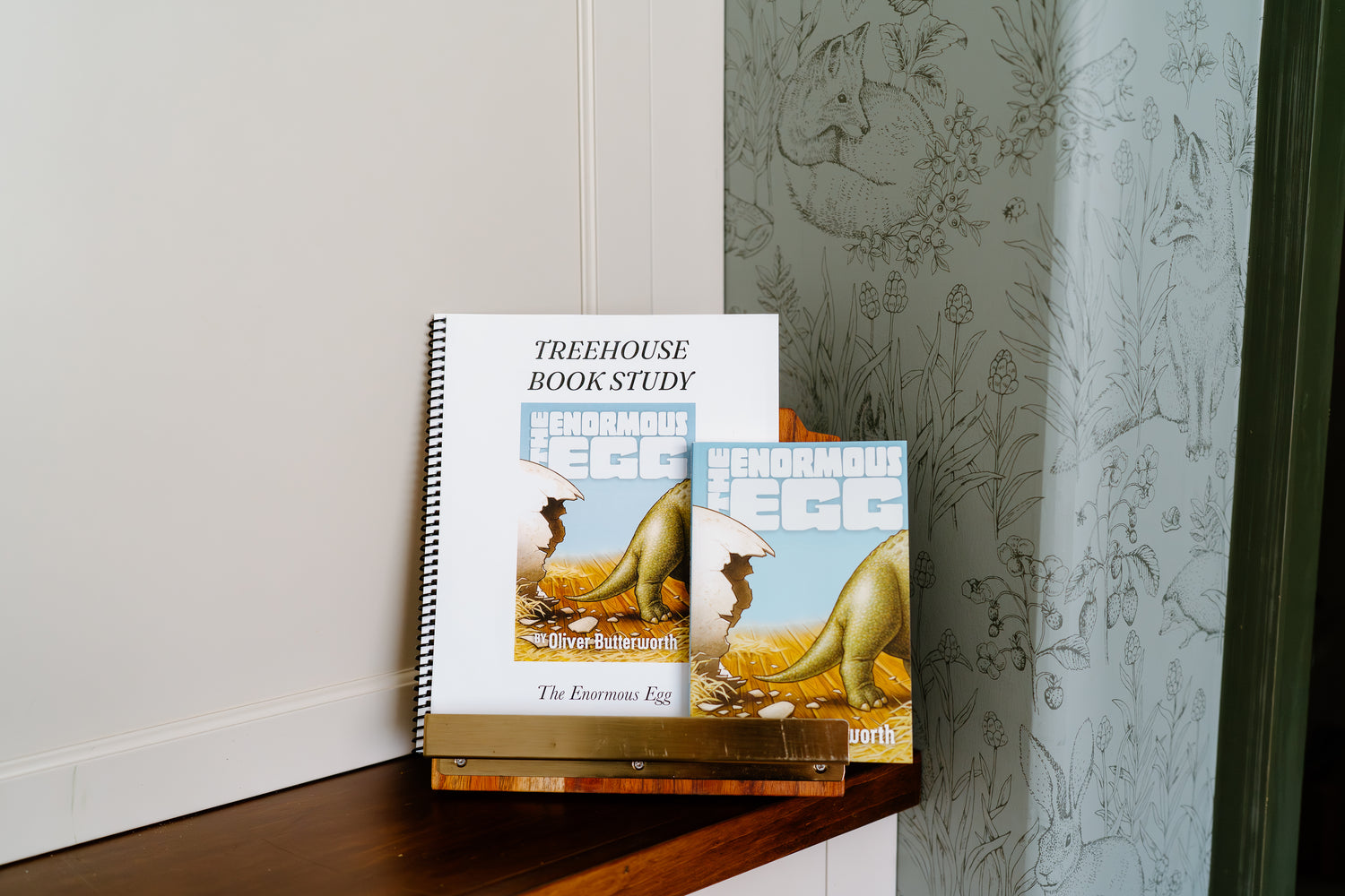 The Enormous Egg Book Study