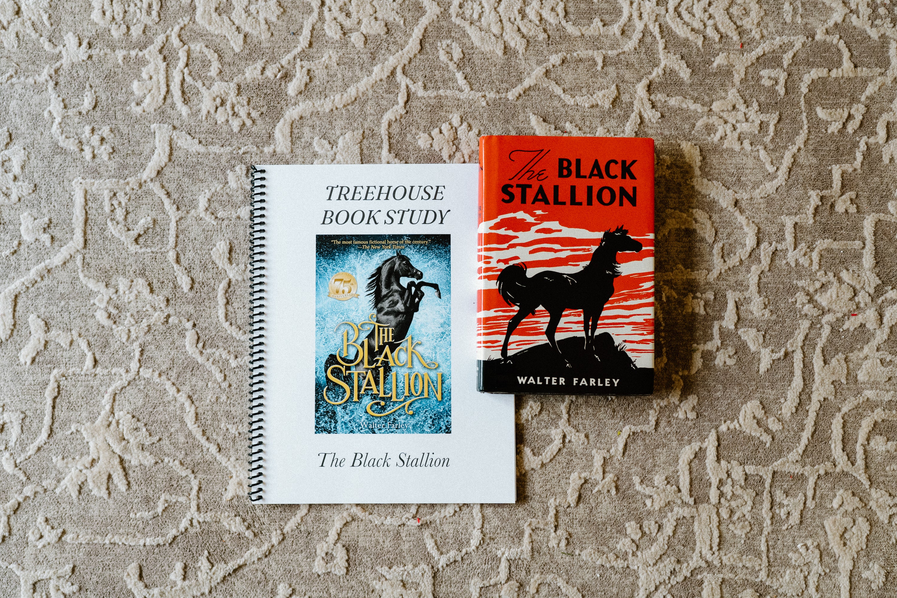 The Black Stallion Book Study