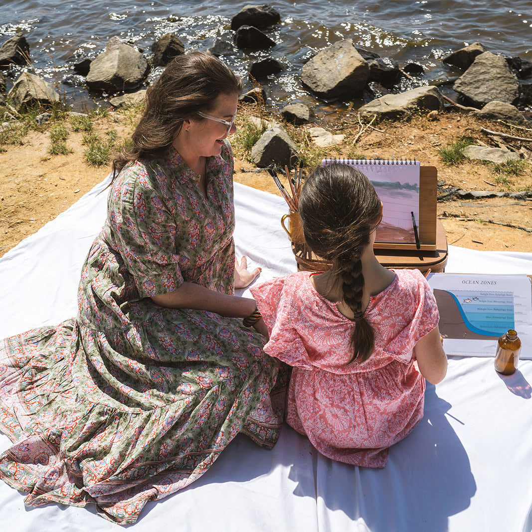 Treehouse Nature Study: Summer, Intermediate Years