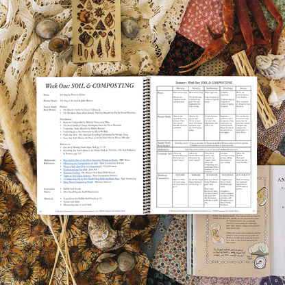Treehouse Nature Study: Summer, Intermediate Years