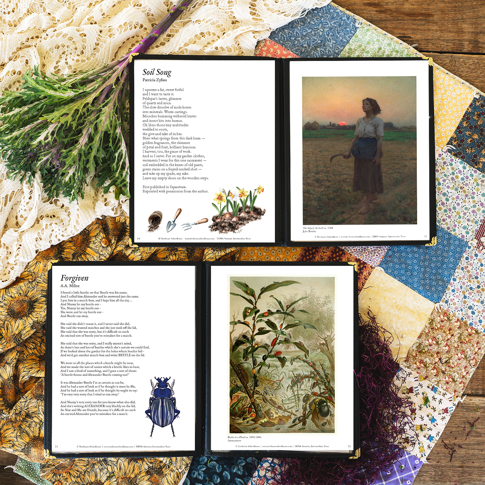 Treehouse Nature Study: Summer, Intermediate Years