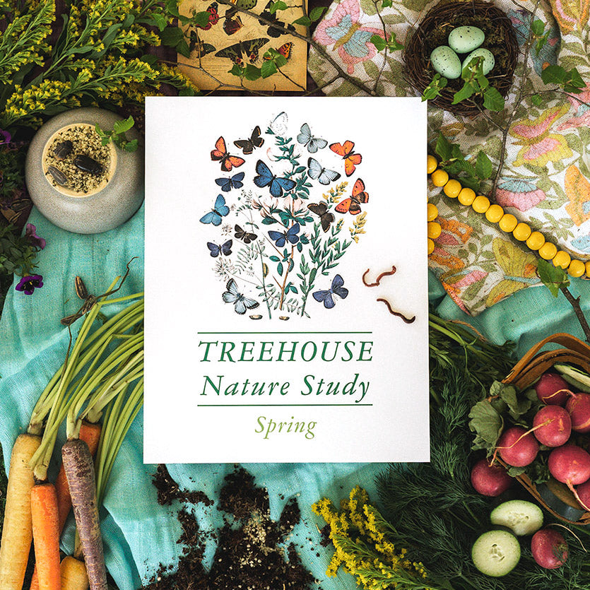 Treehouse Nature Study: Spring, Primary Years (Small Group License)